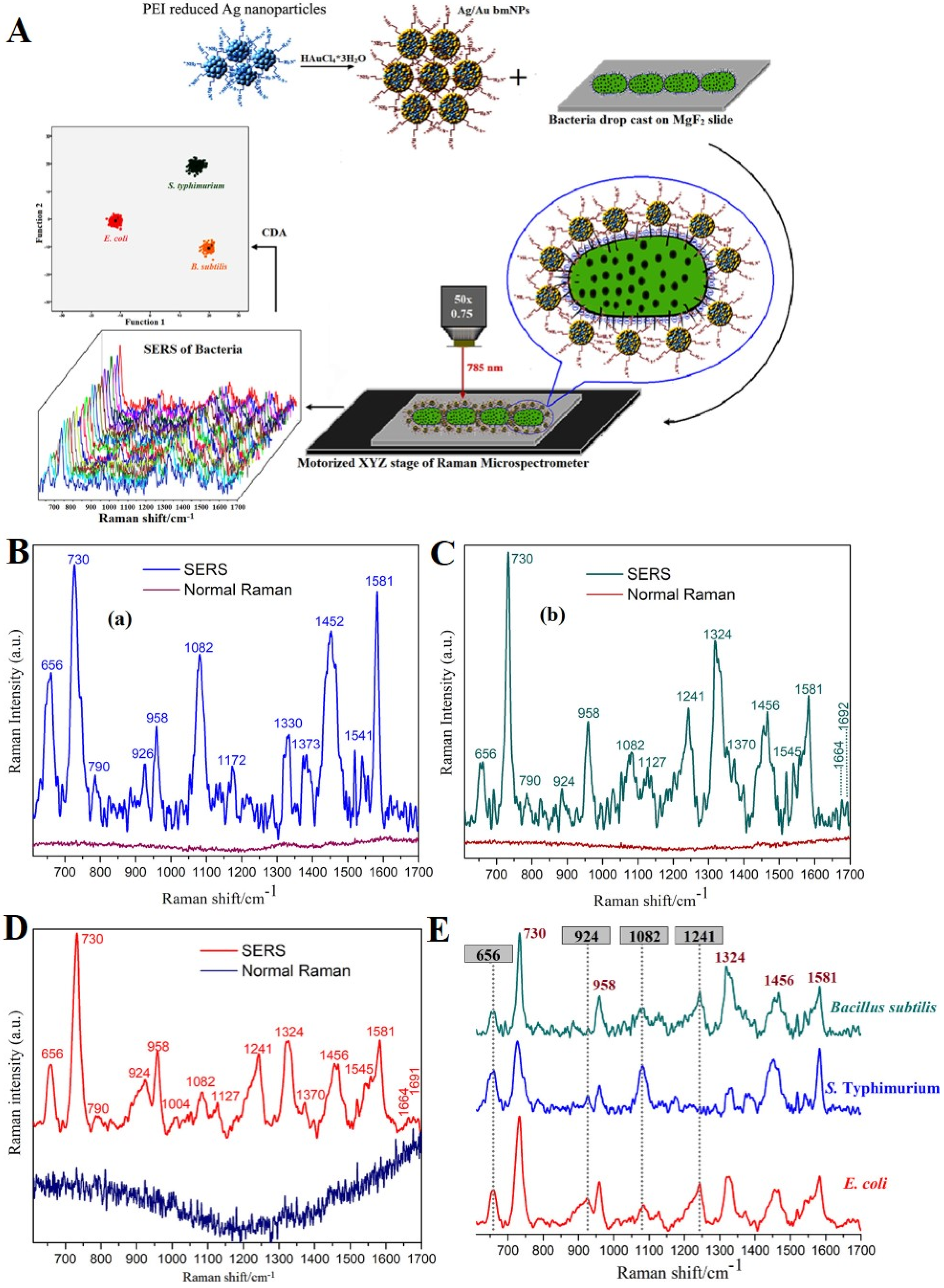 Chemosensors 10 00190 g004 550