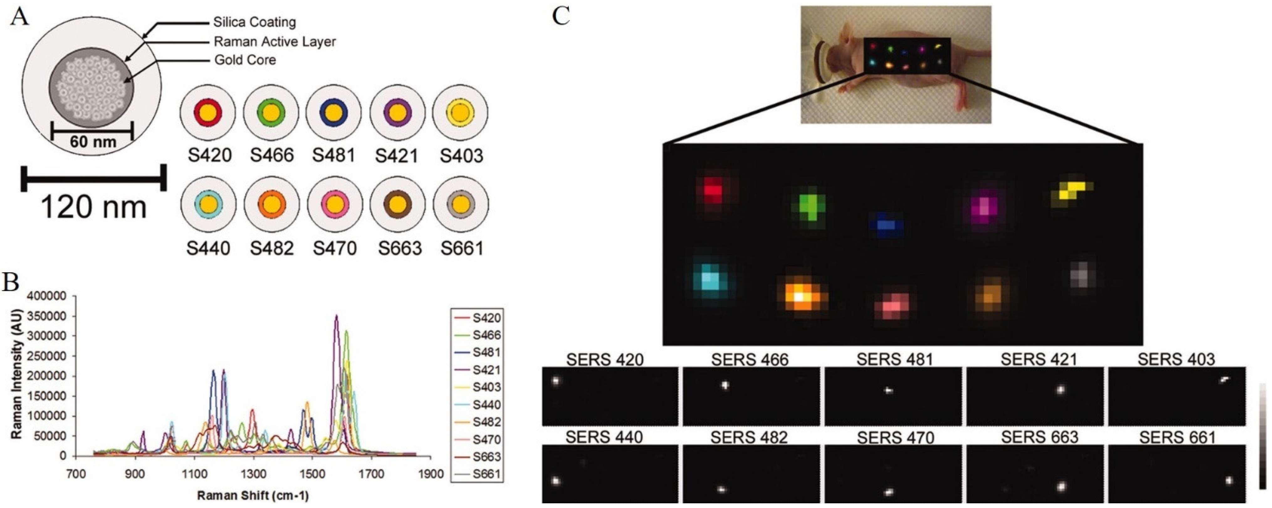 Chemosensors 10 00190 g005 550
