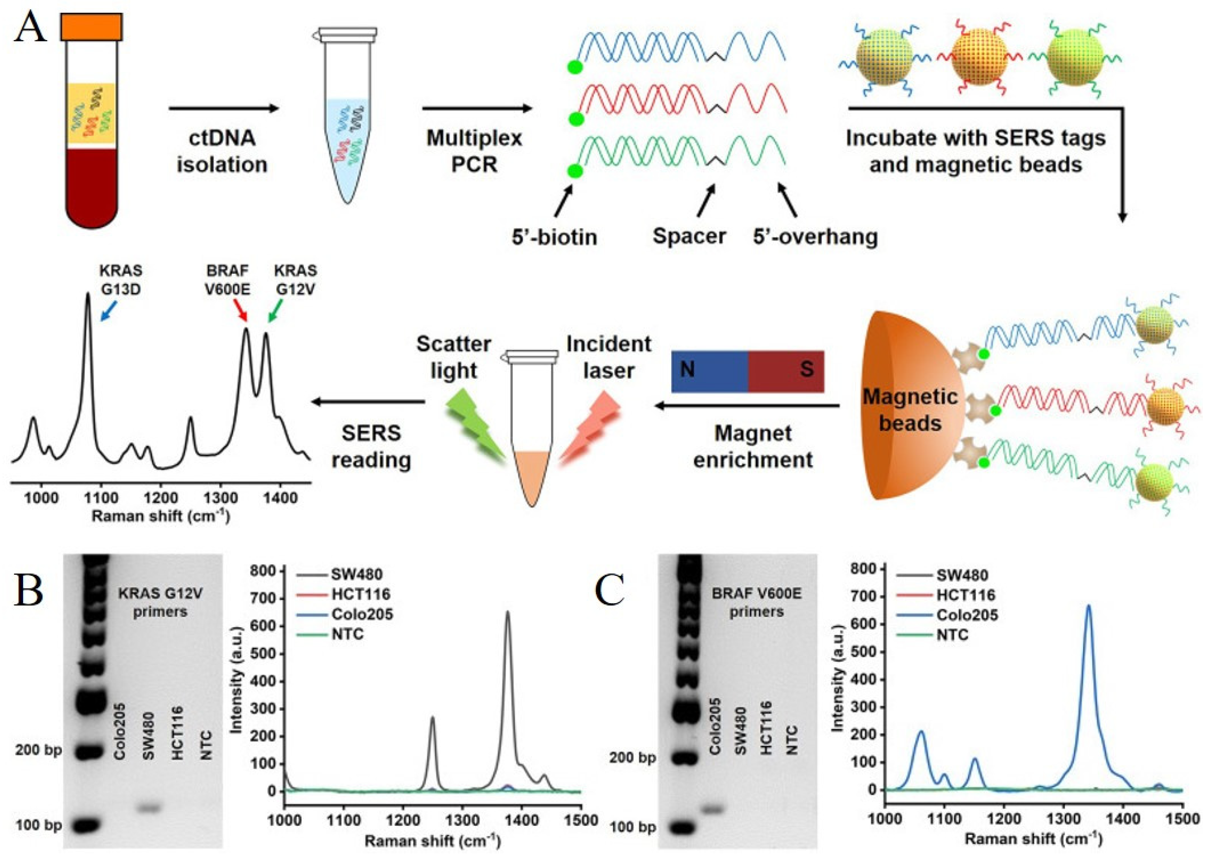 Chemosensors 10 00190 g007 550