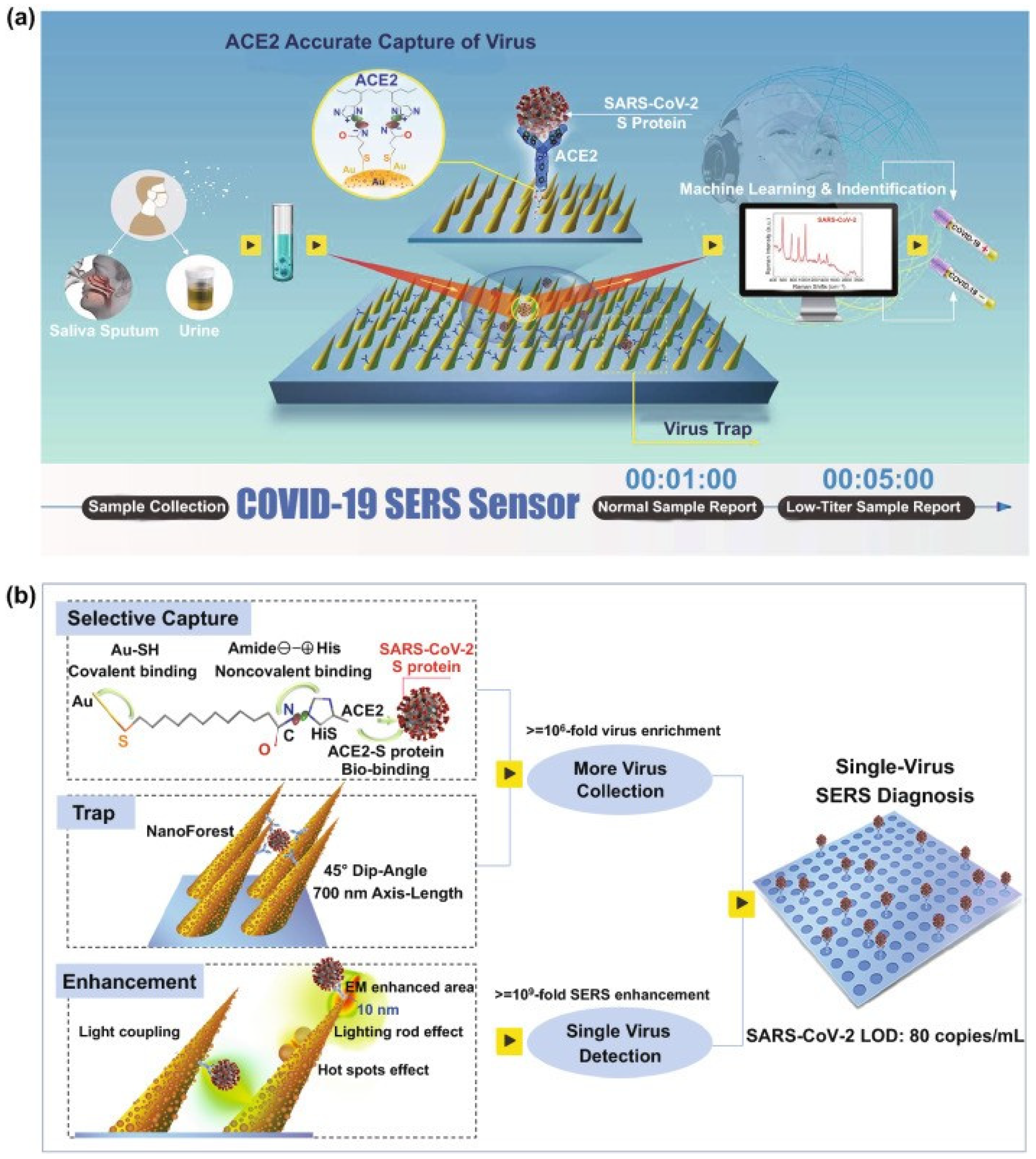 Chemosensors 10 00190 g014 550