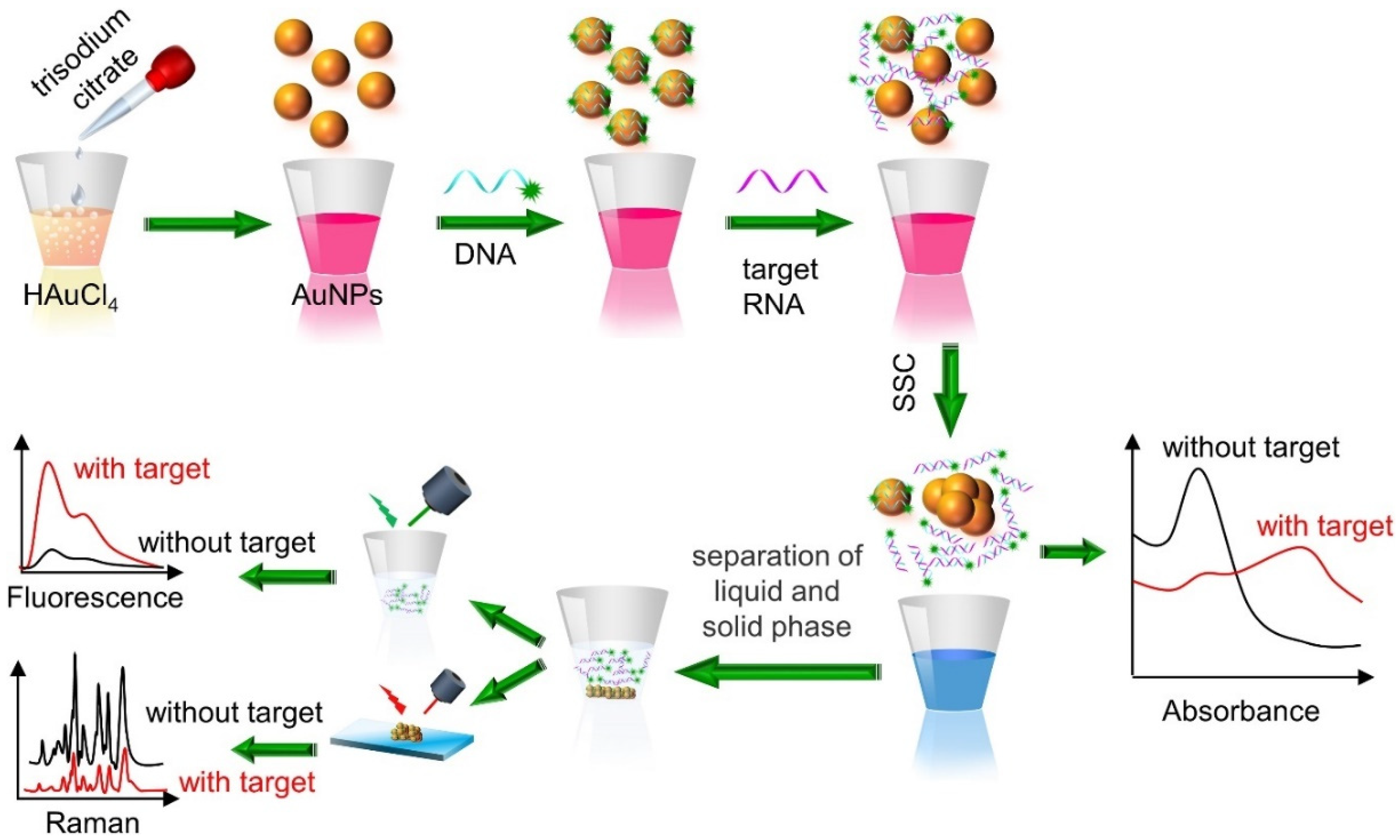 Chemosensors 10 00190 g016 550