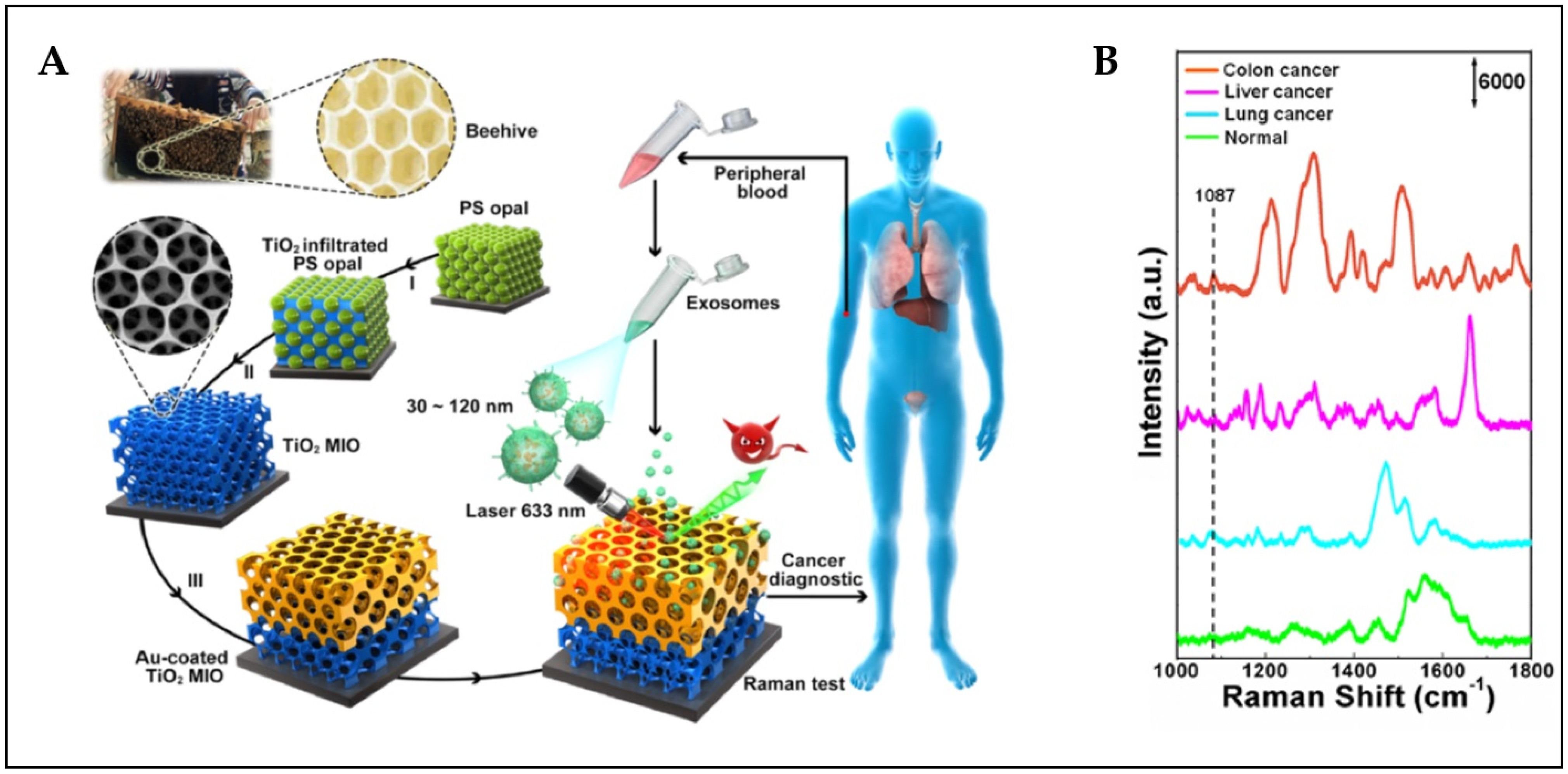 Chemosensors 10 00190 g017 550