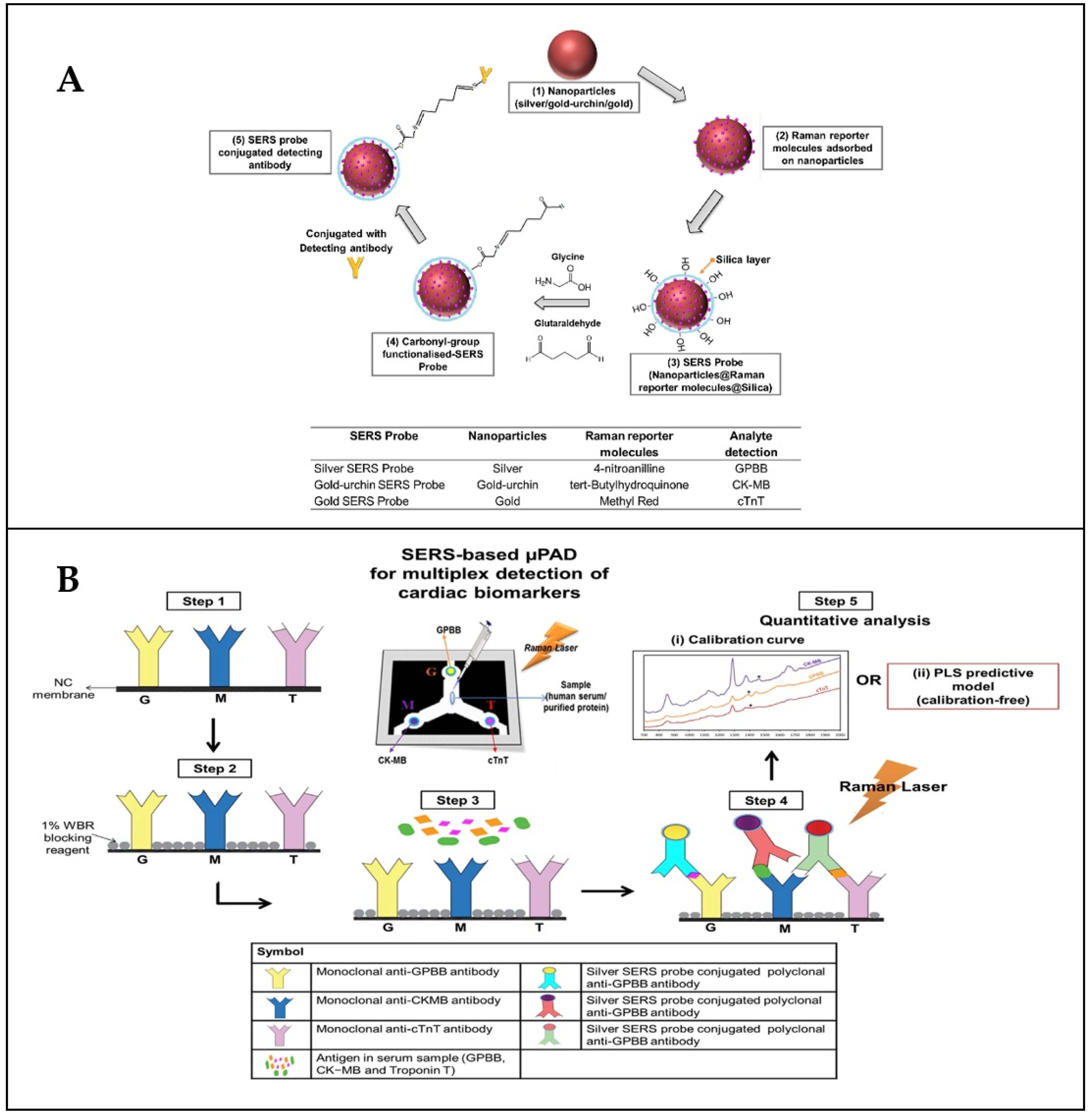 Chemosensors 10 00190 g018 550
