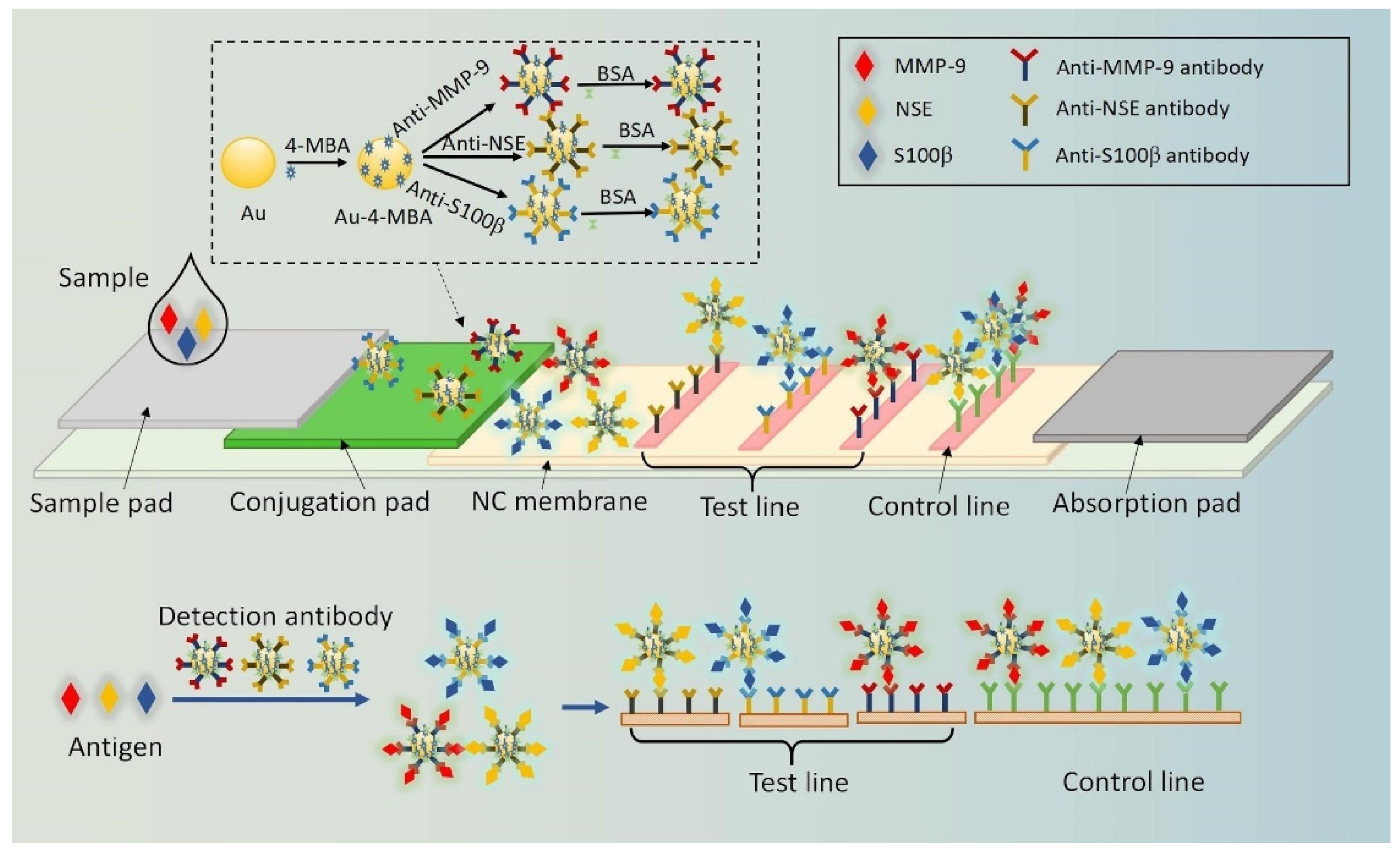 Chemosensors 10 00190 g019 550