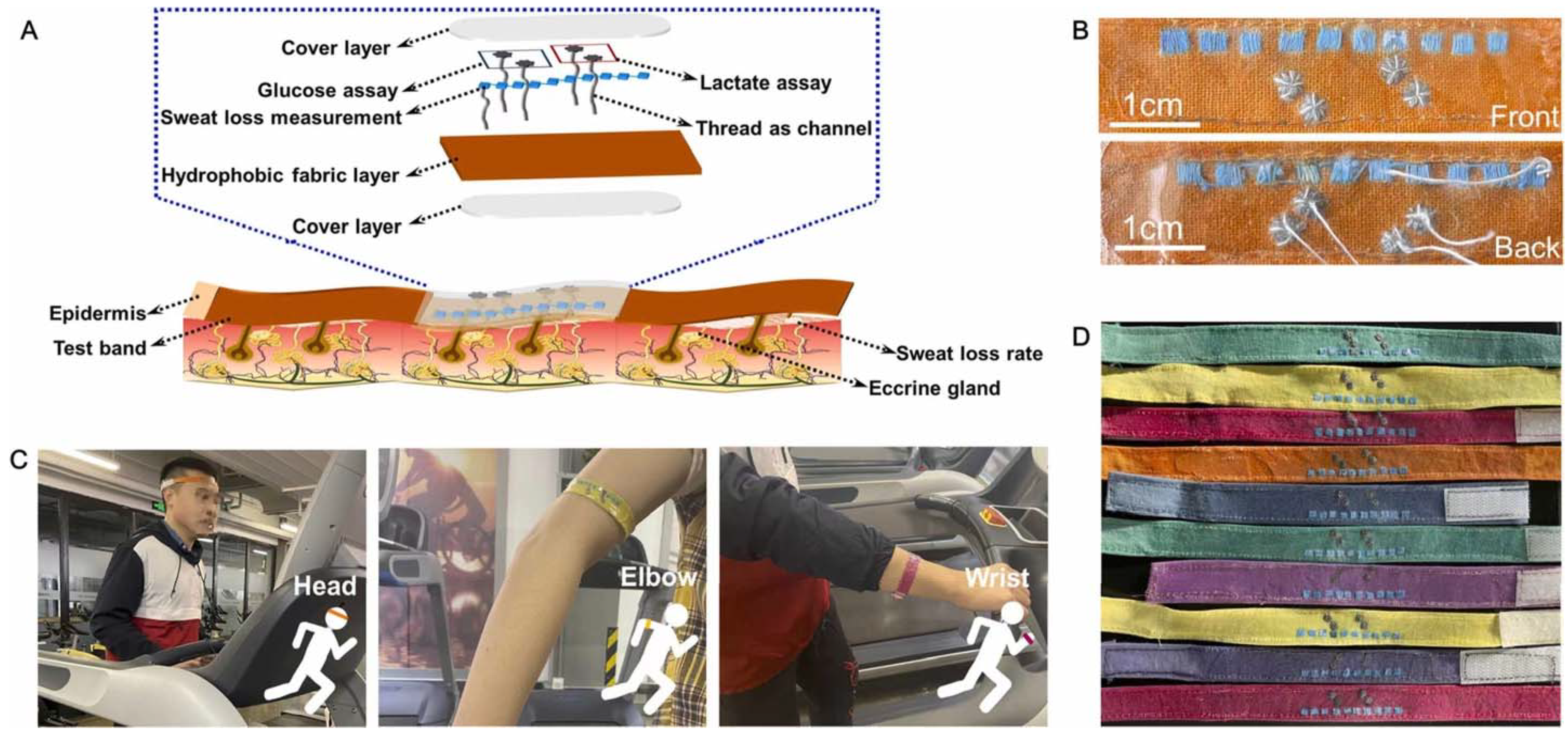 Chemosensors 10 00190 g020 550