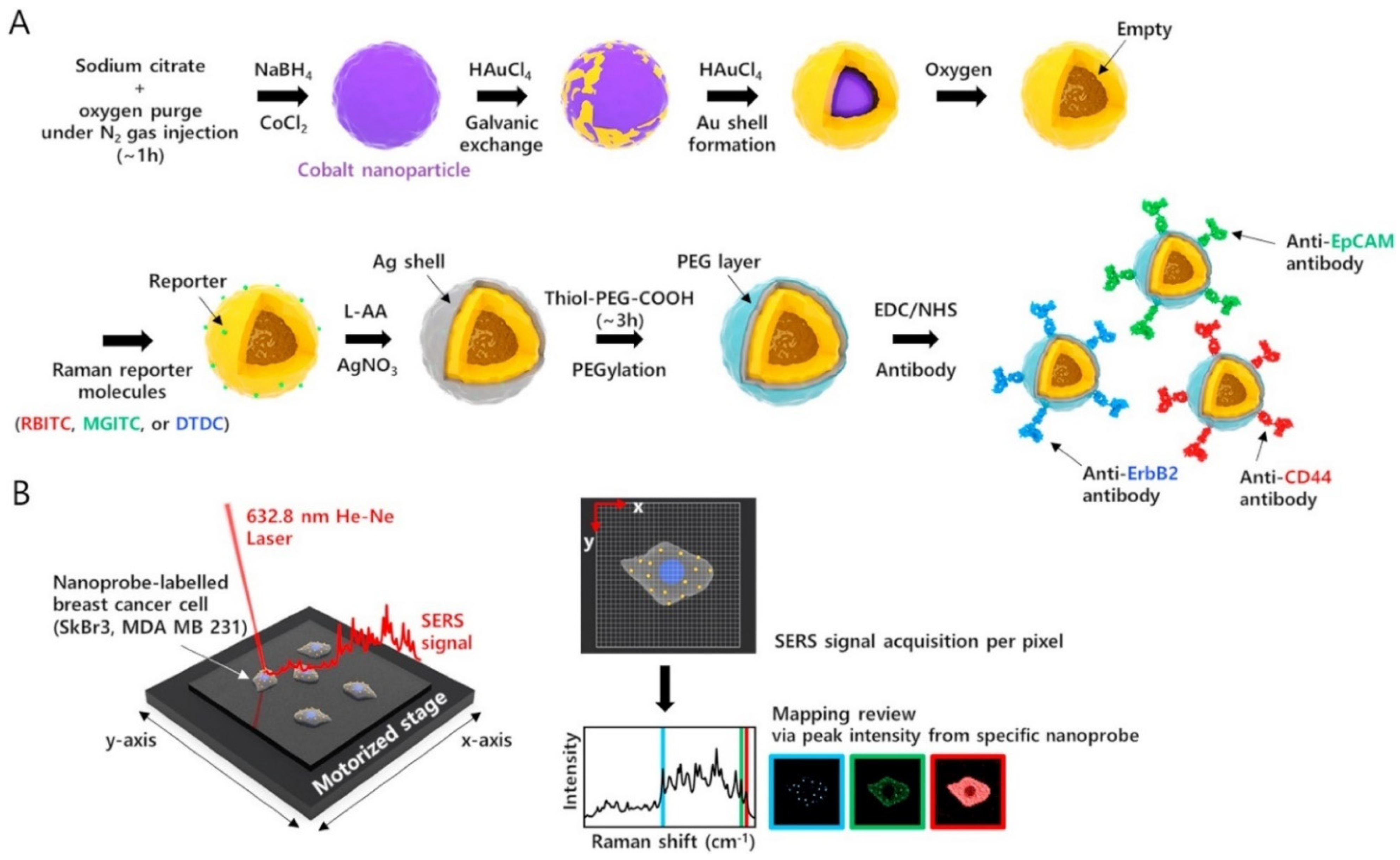 Chemosensors 10 00190 g023 550