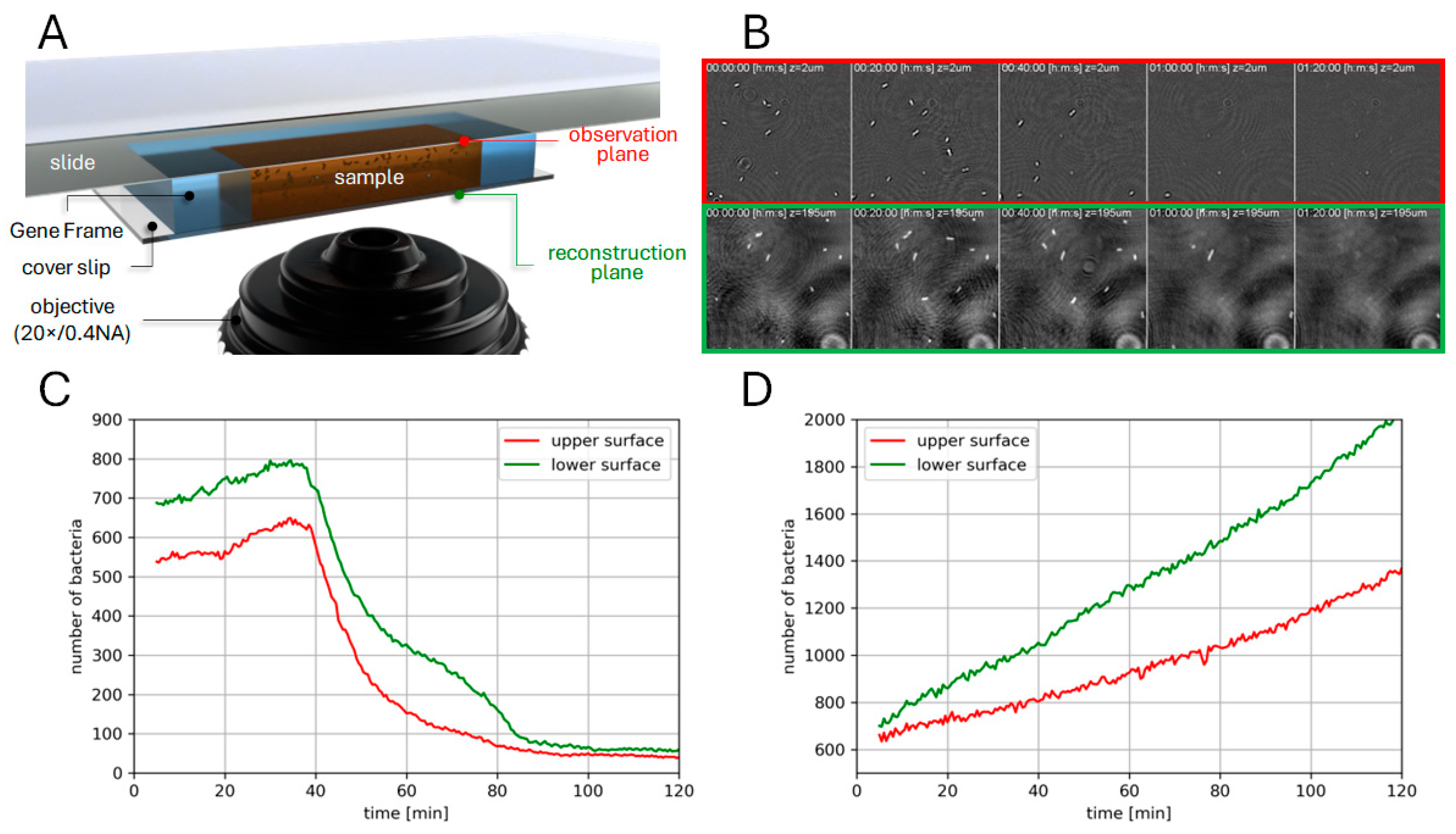 Chemosensors 10 00192 g004 Chemosensors 10 00192 g004