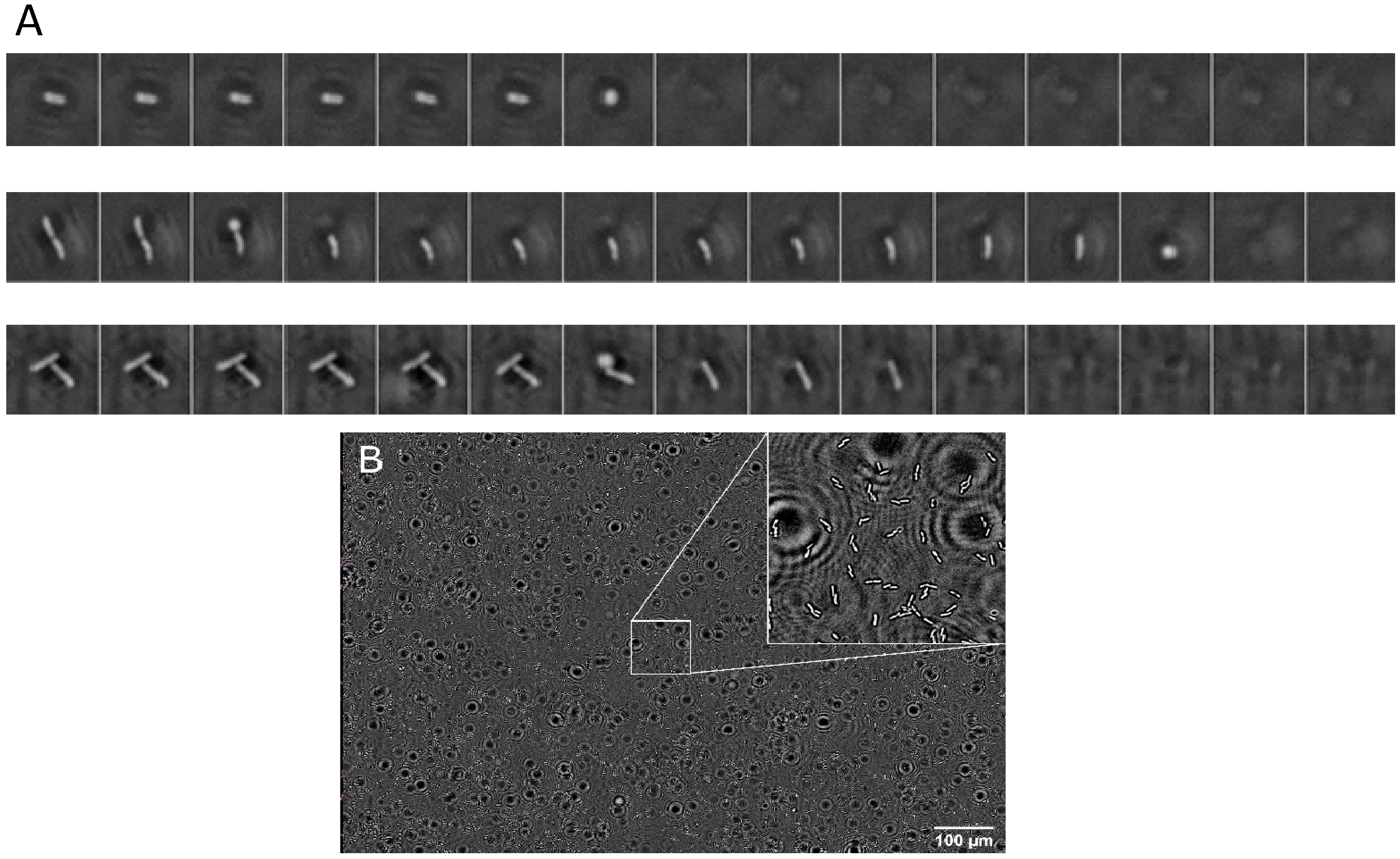 Chemosensors 10 00192 g005 Chemosensors 10 00192 g005