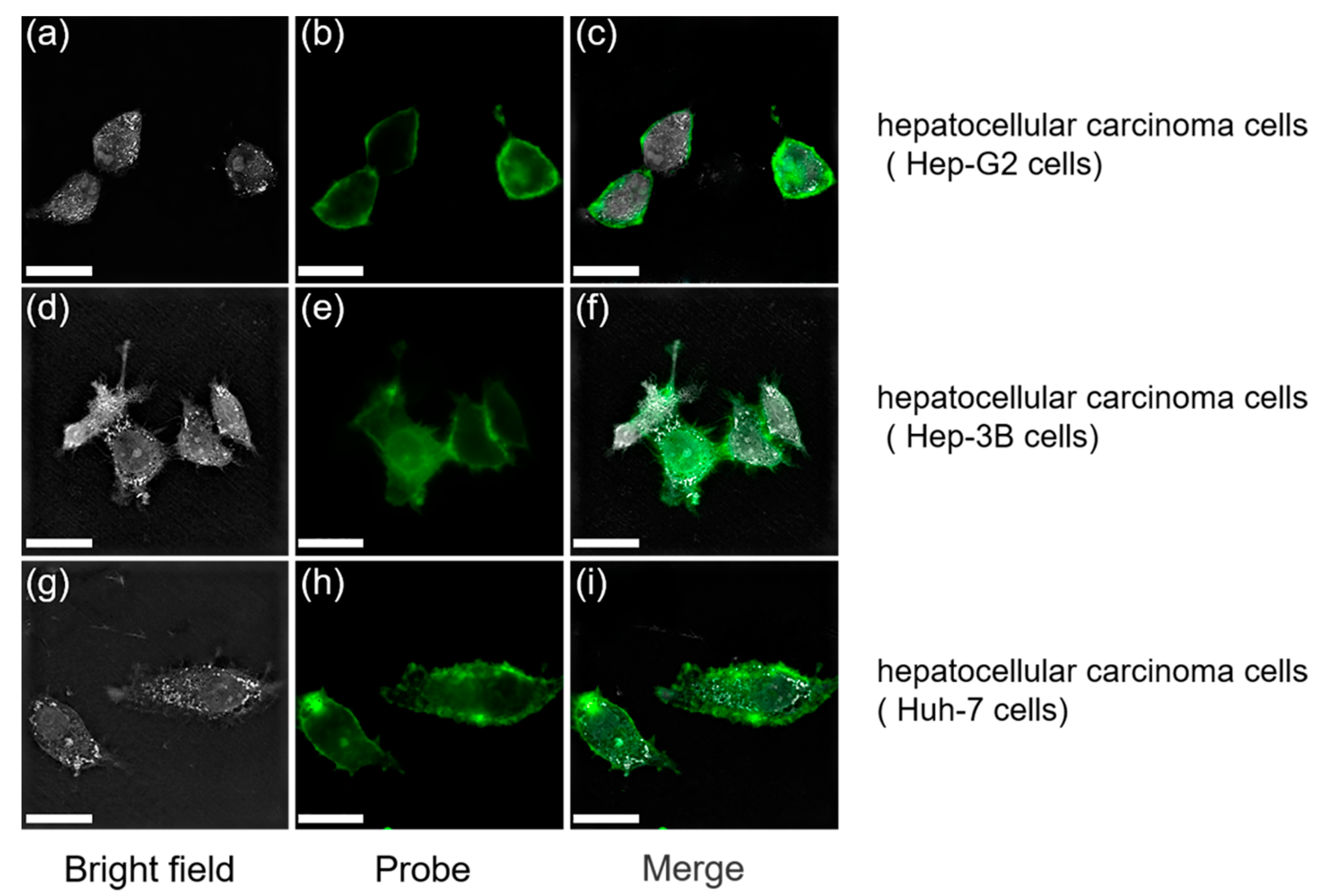 Chemosensors 10 00195 g002