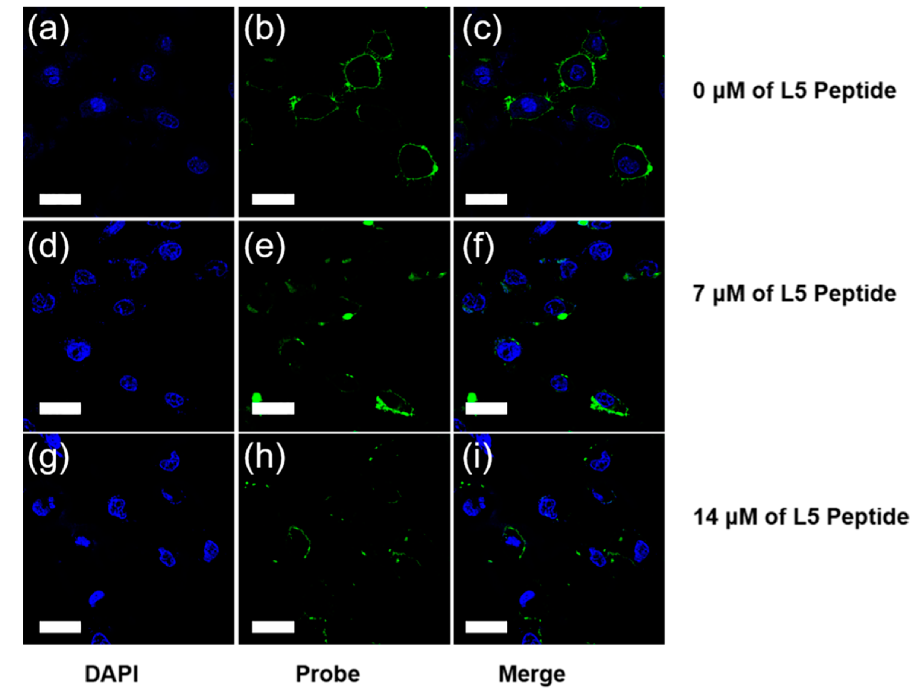 Chemosensors 10 00195 g003