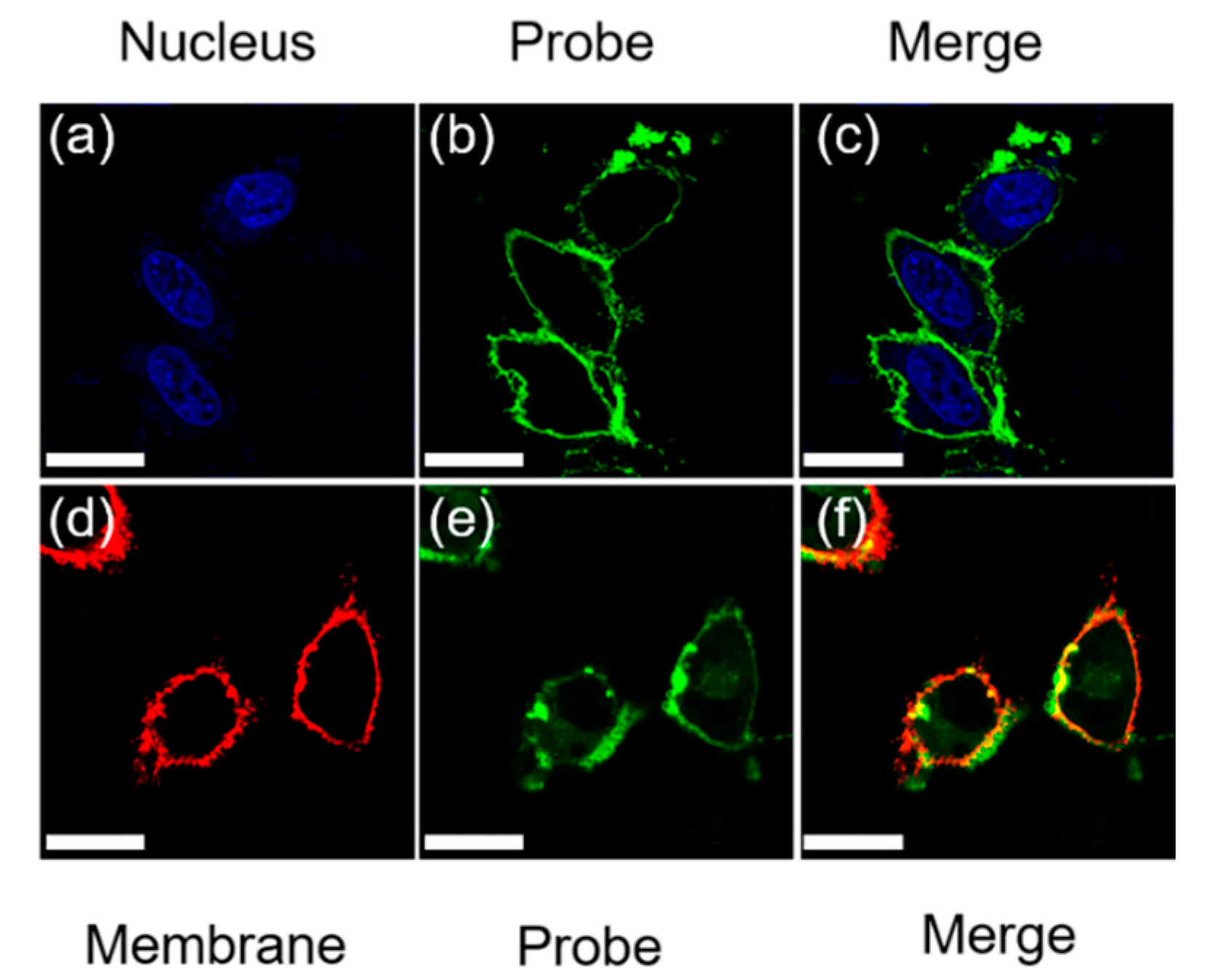 Chemosensors 10 00195 g005