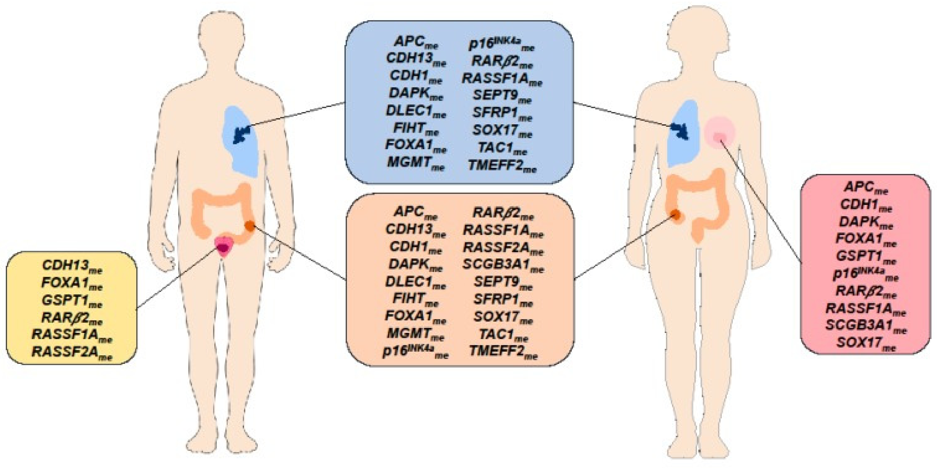 Chemosensors Free Full Text State Of The Art Of Chemosensors In A