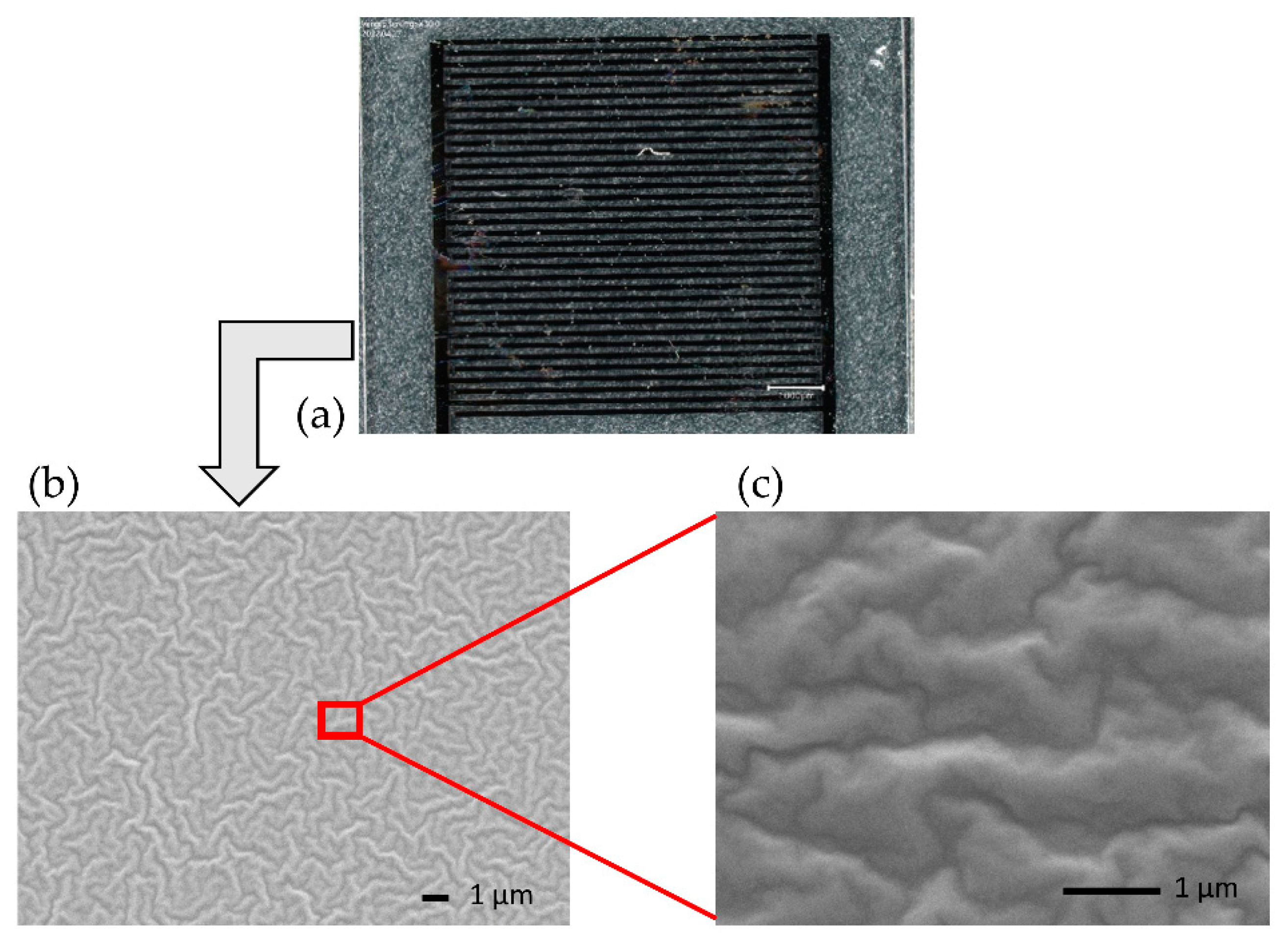 Chemosensors 10 00202 g004