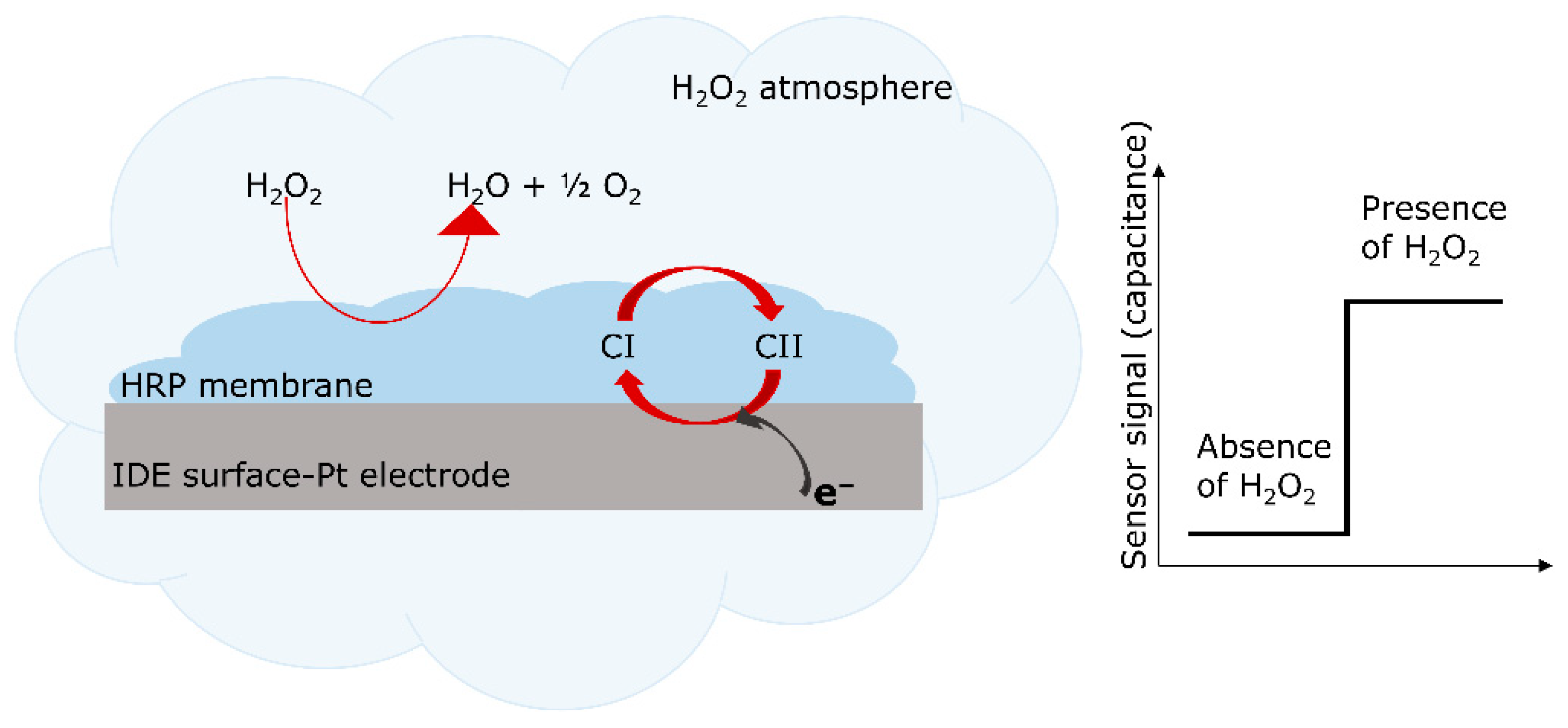 Chemosensors 10 00202 g005