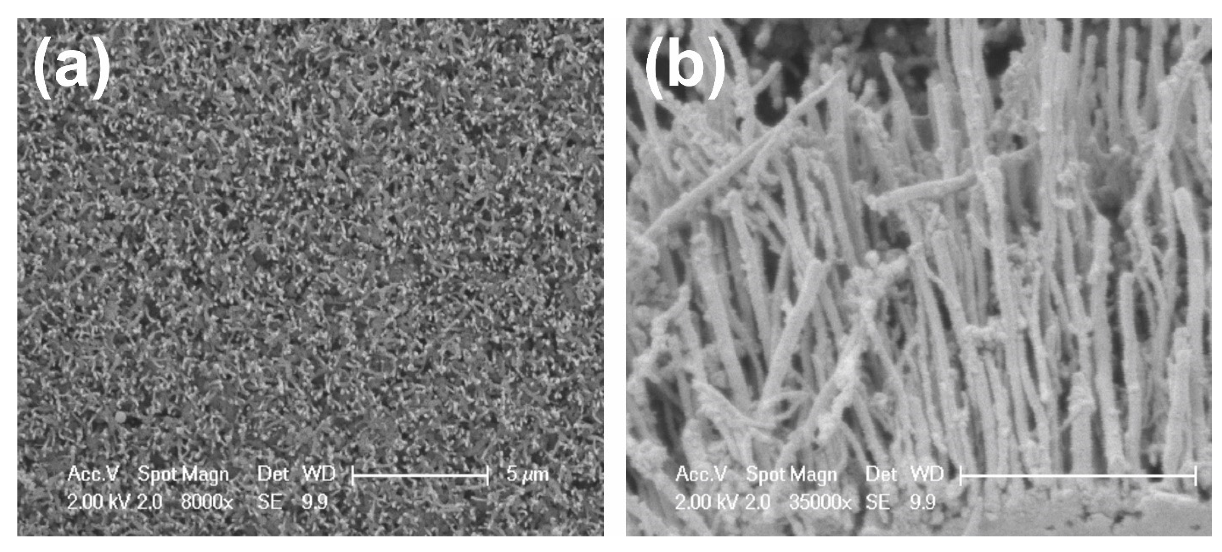 Chemosensors 10 00205 g001