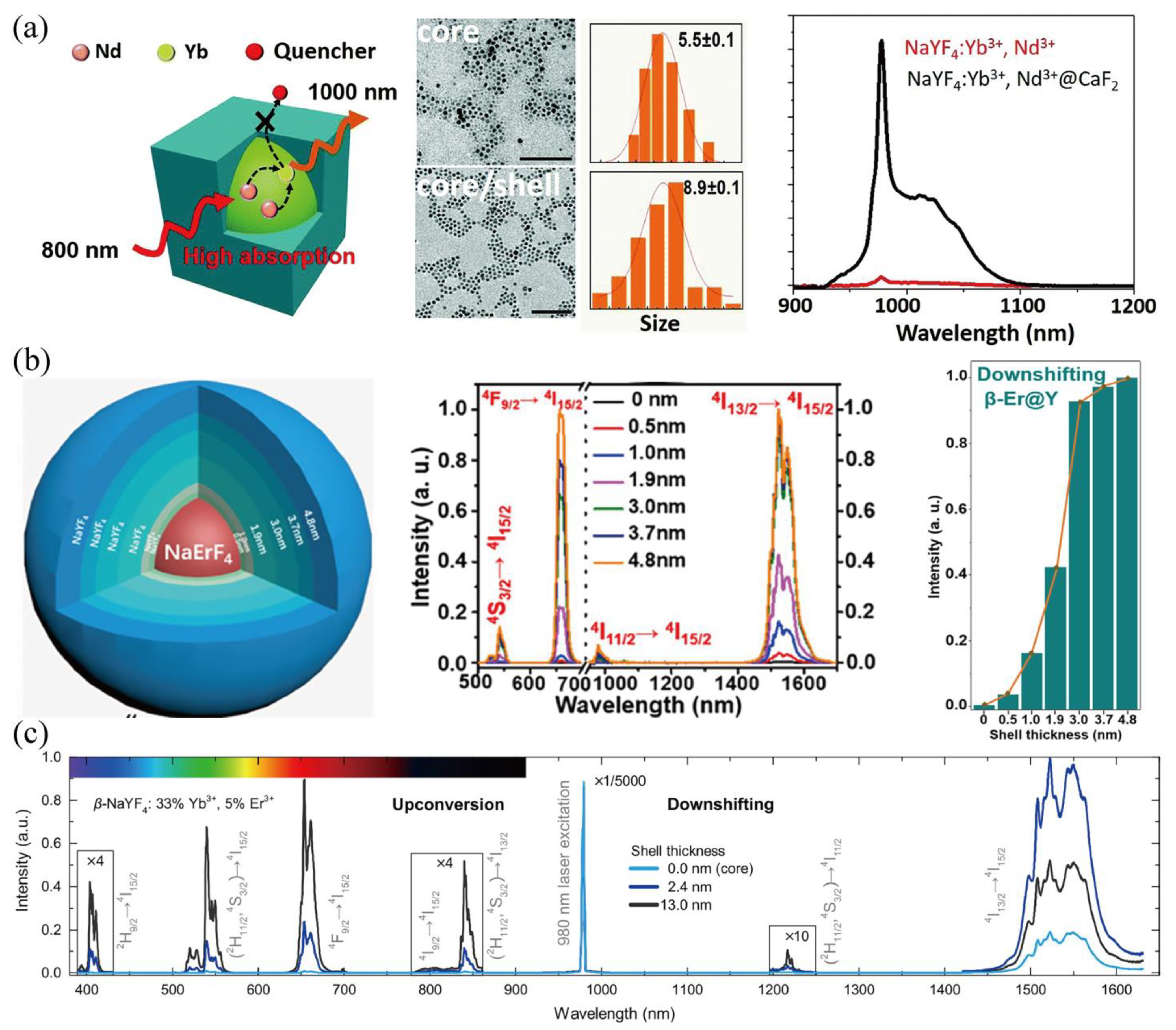 Chemosensors 10 00206 g004