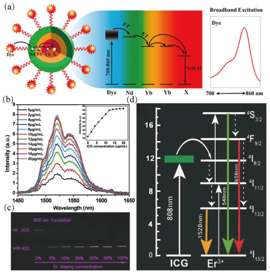 Recent Progresses in NIR-II Luminescent Bio/Chemo Sensors