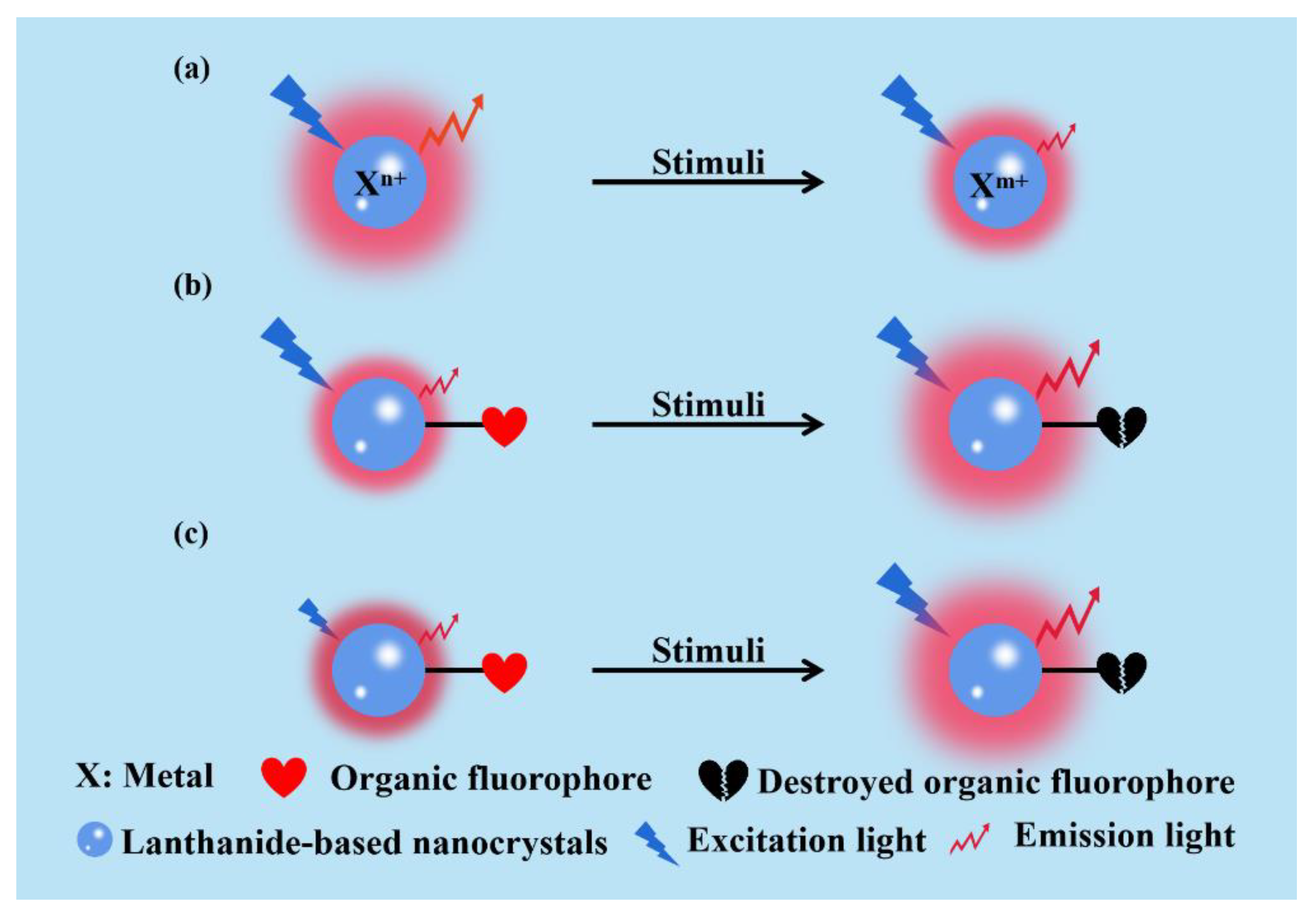 Chemosensors 10 00206 g006