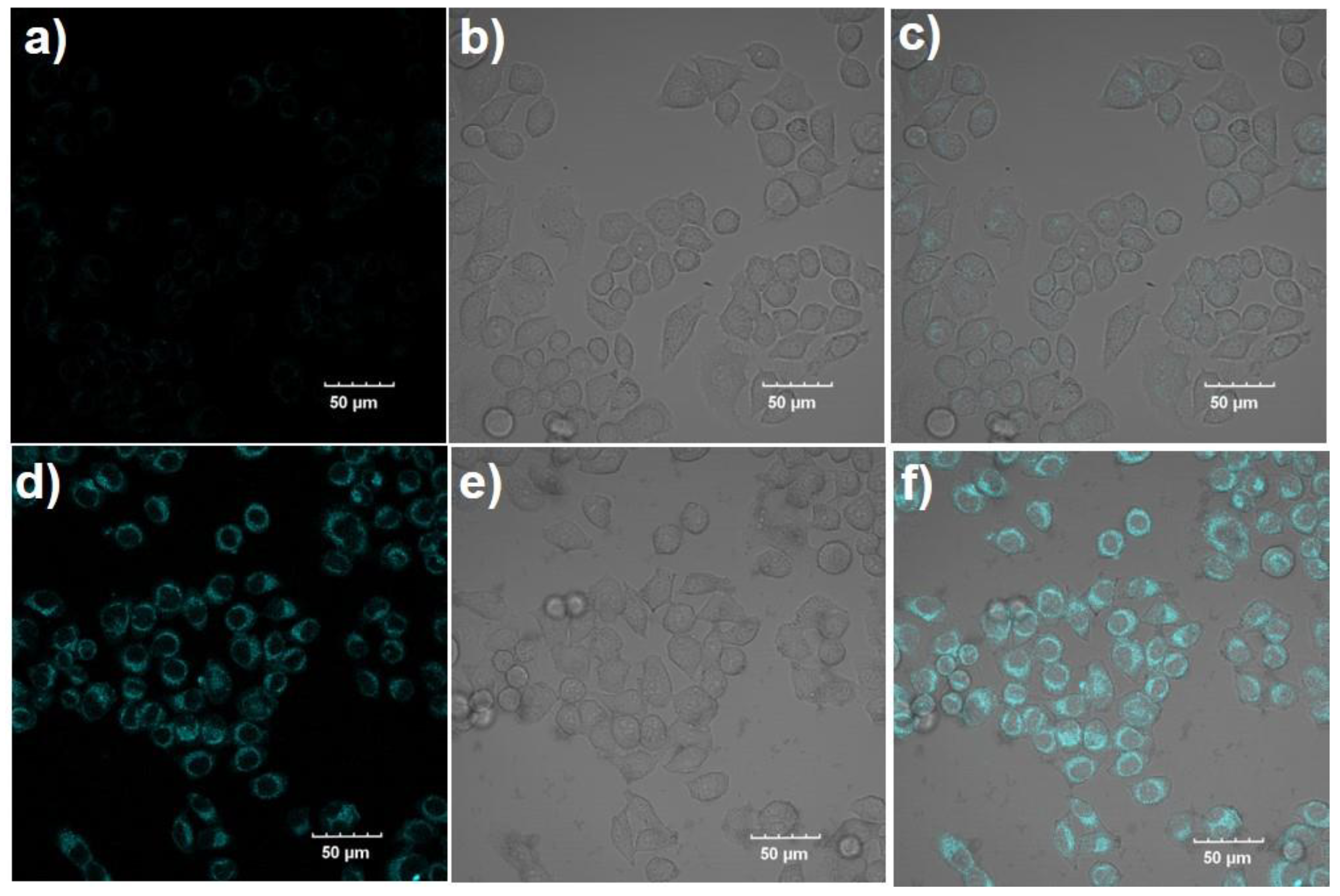 Chemosensors 10 00207 g005