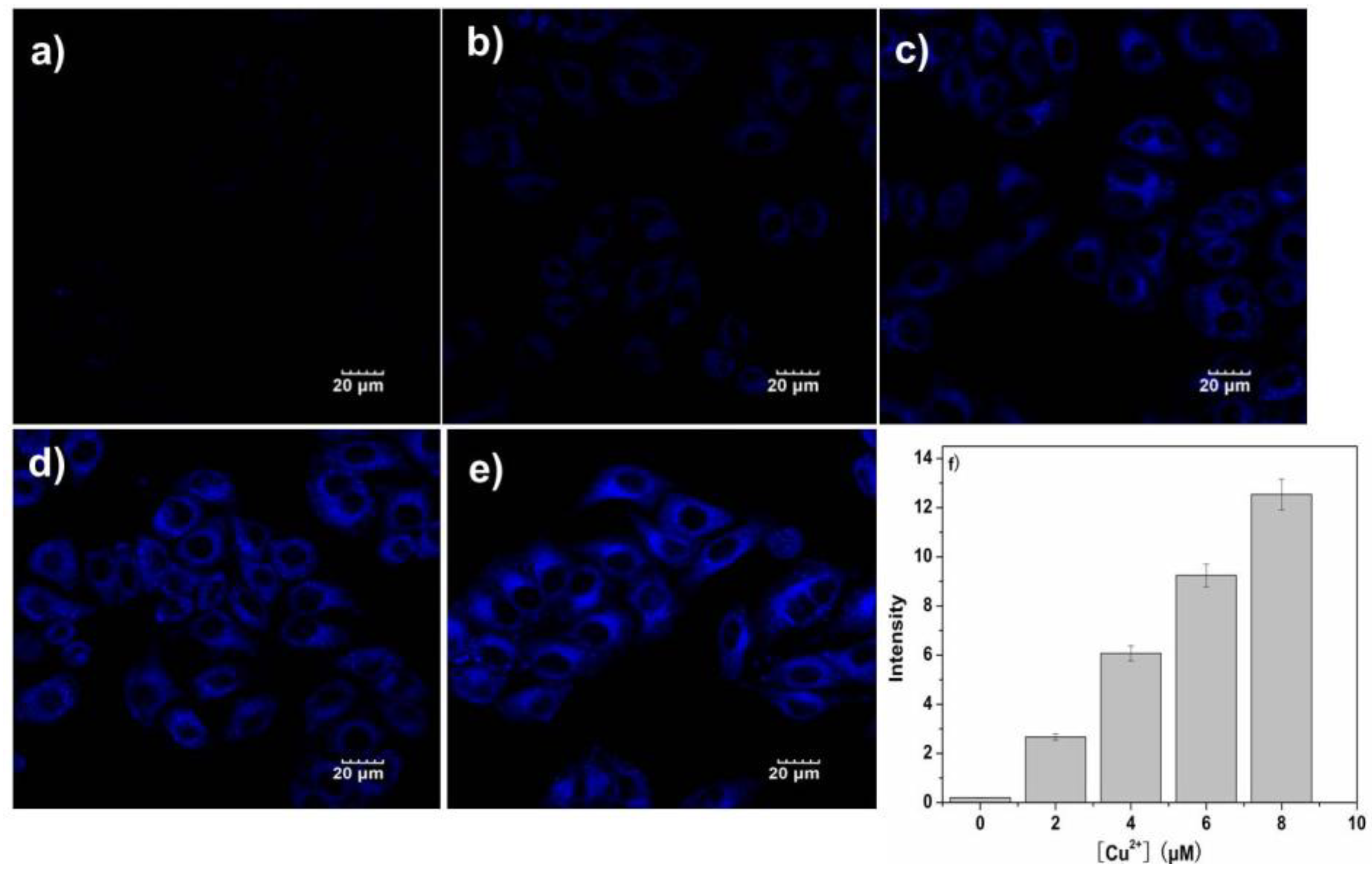 Chemosensors 10 00207 g006