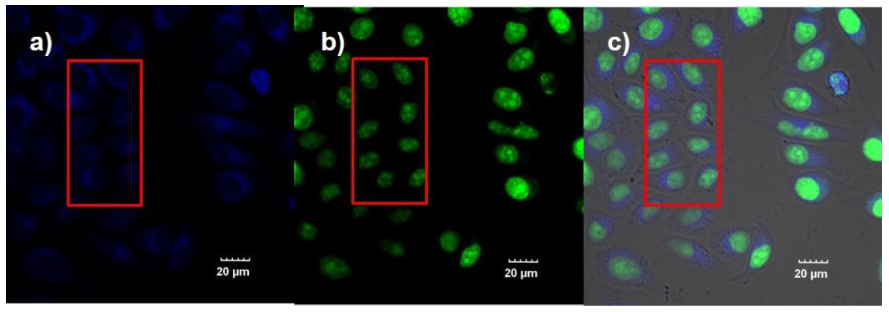 Chemosensors 10 00207 g007