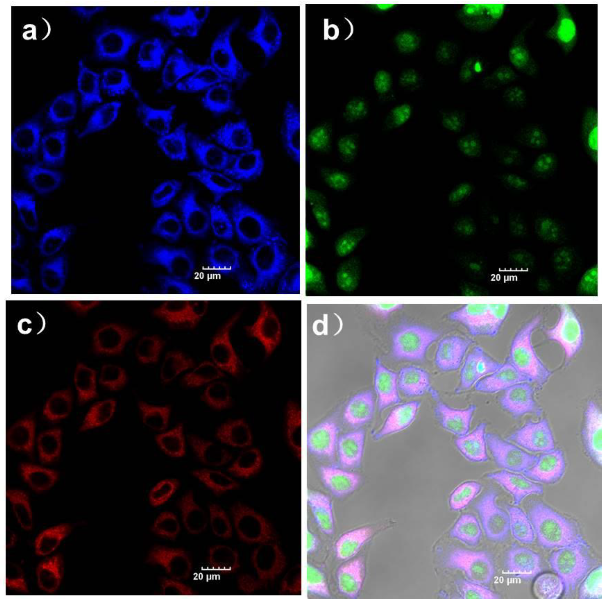 Chemosensors 10 00207 g008