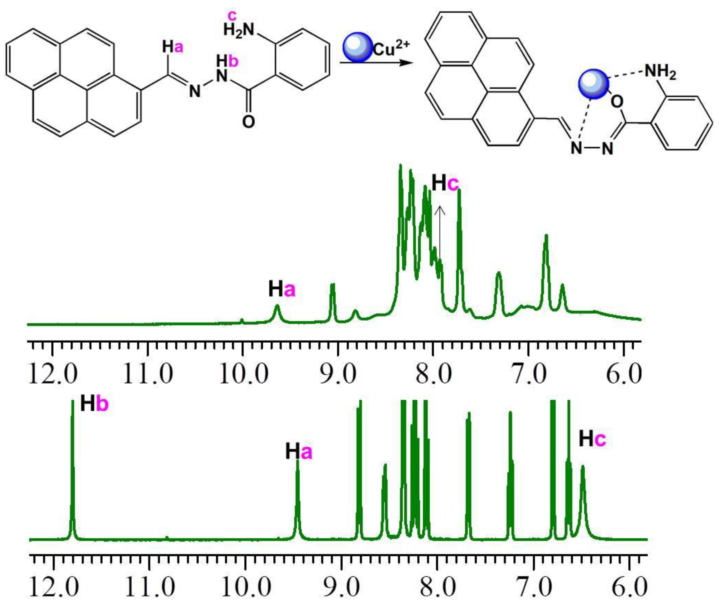 Chemosensors 10 00207 sch002
