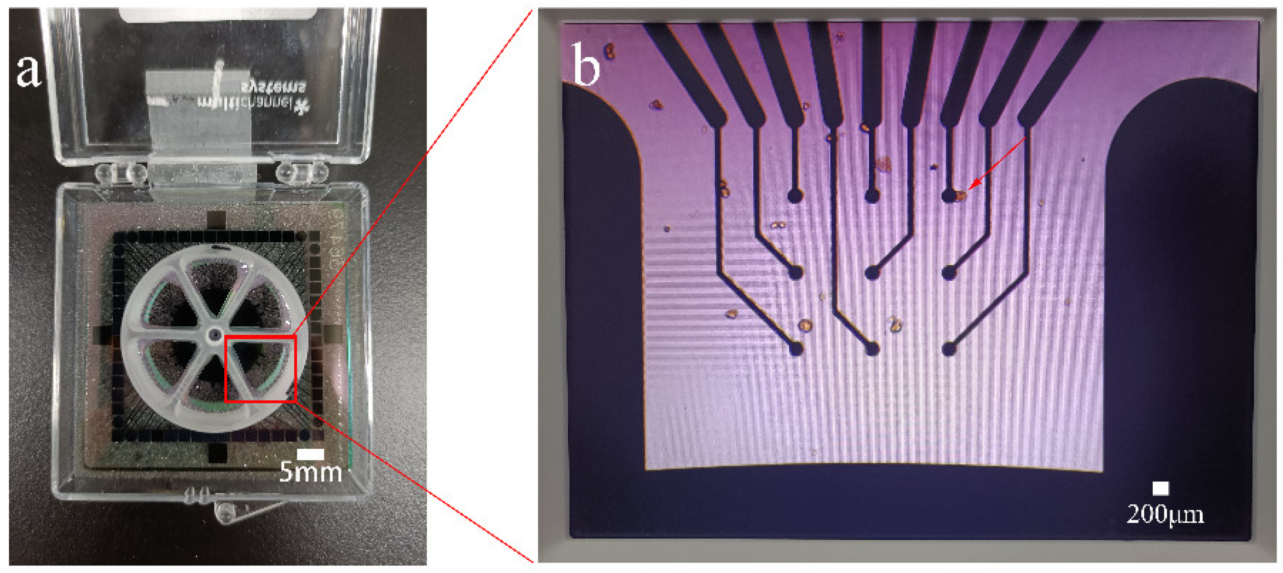Chemosensors 10 00208 g003 550