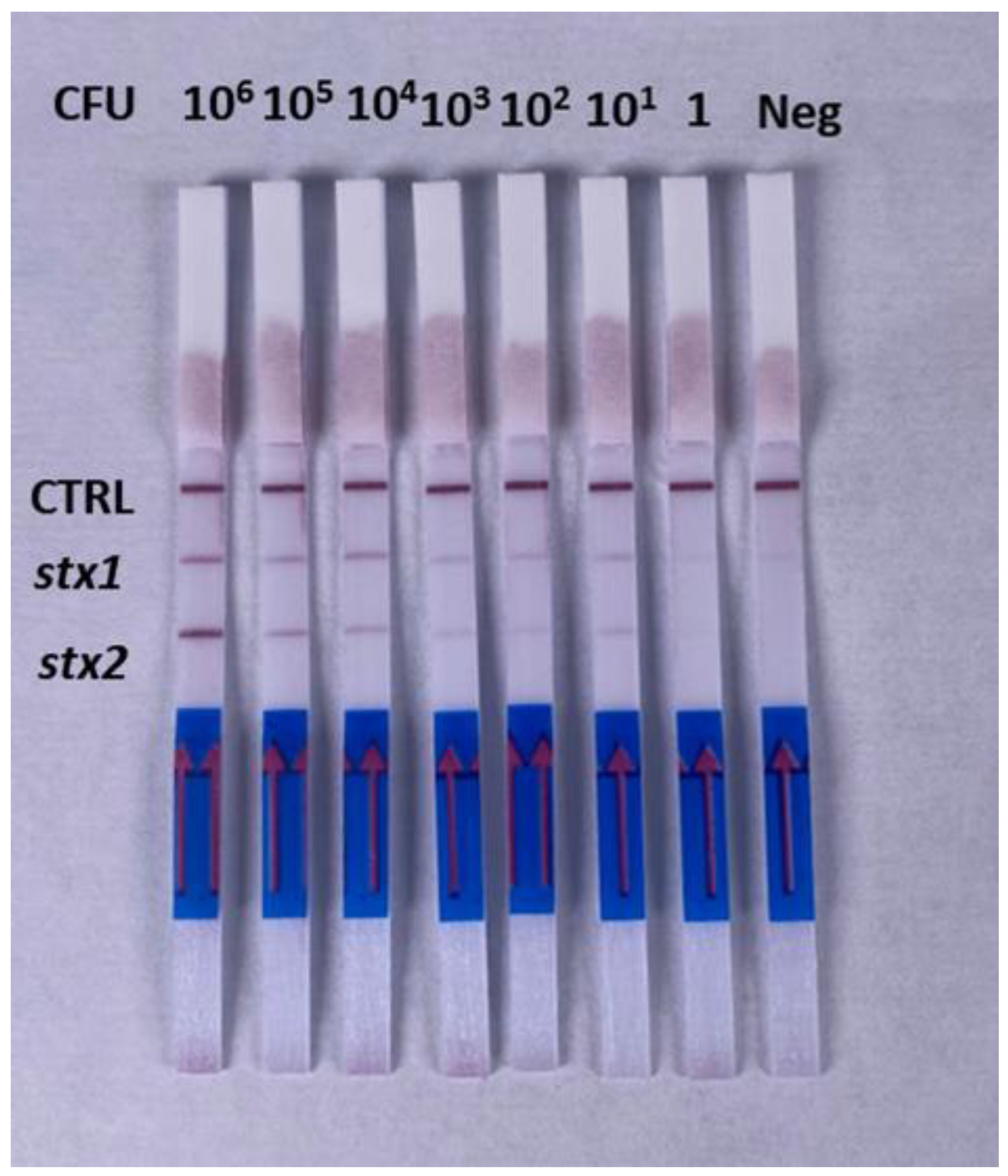 Chemosensors 10 00210 g005