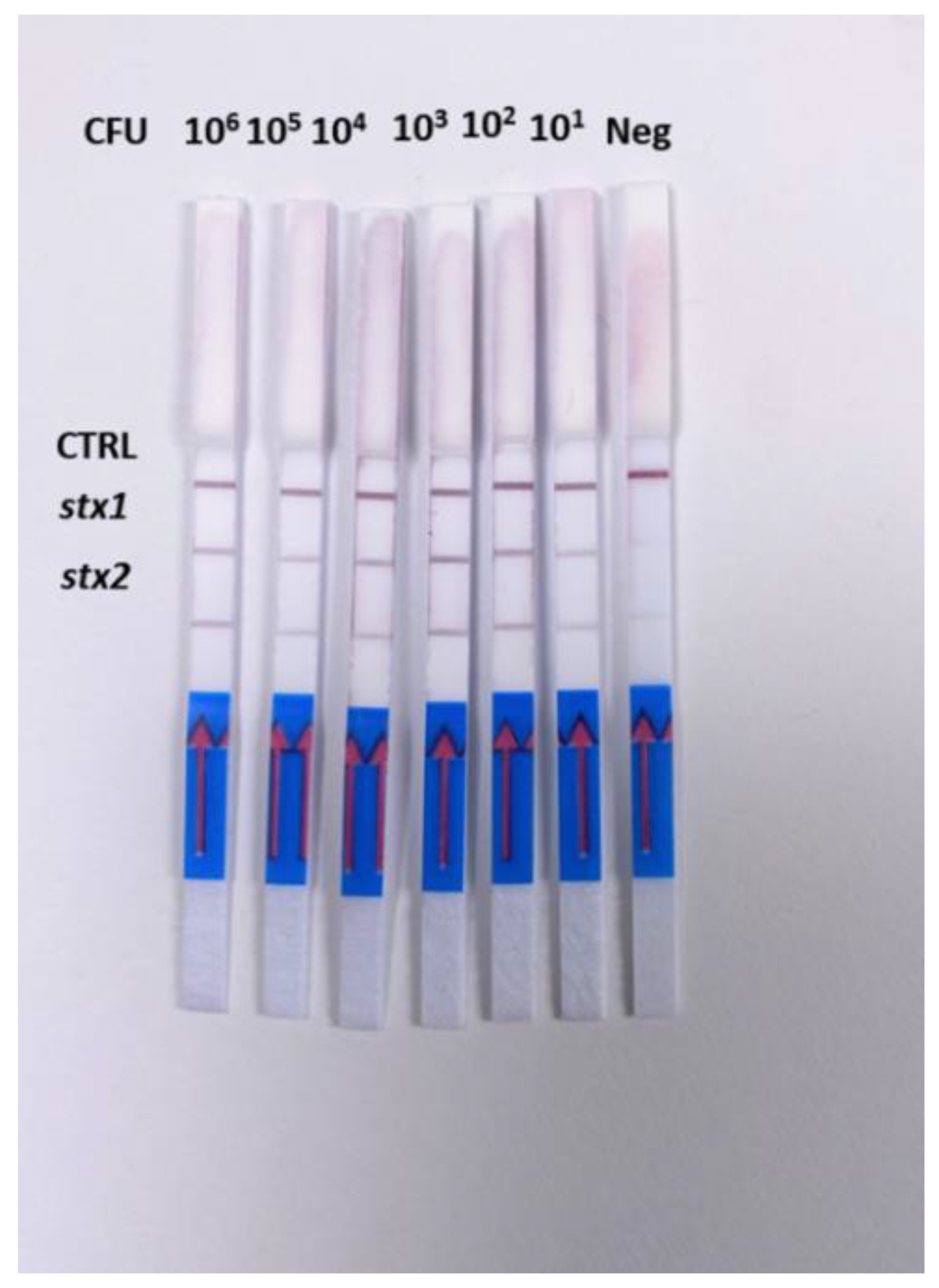 Chemosensors 10 00210 g006