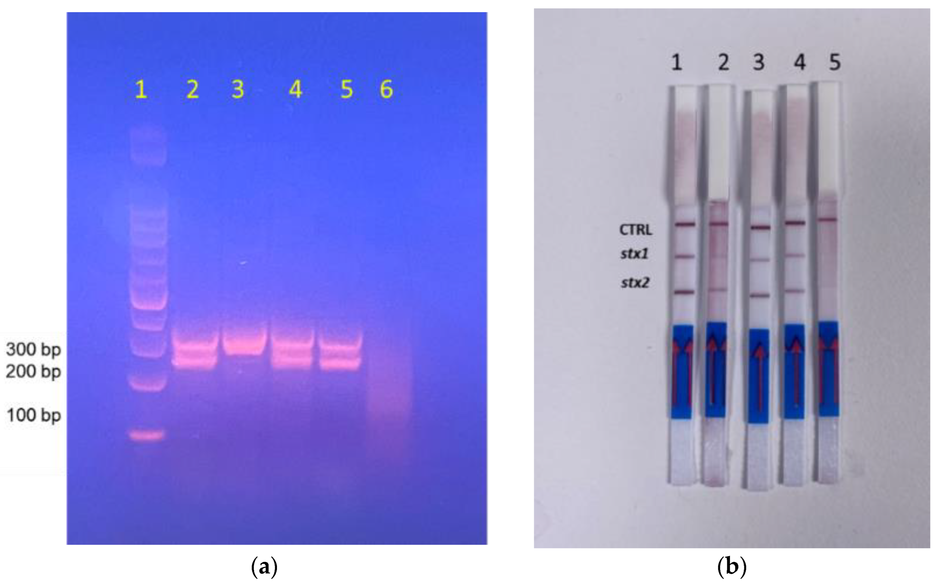 Chemosensors 10 00210 g007