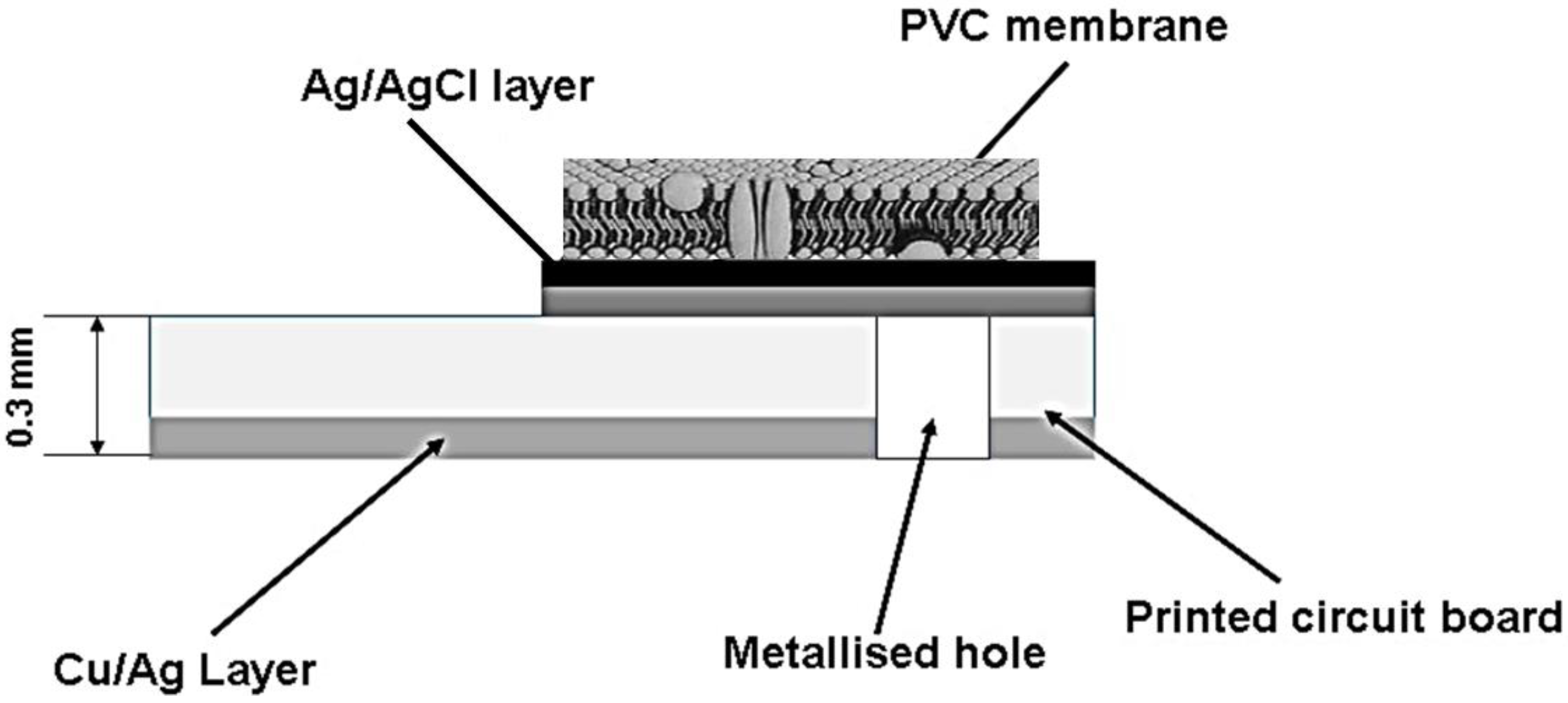 Chemosensors 10 00216 g001 550