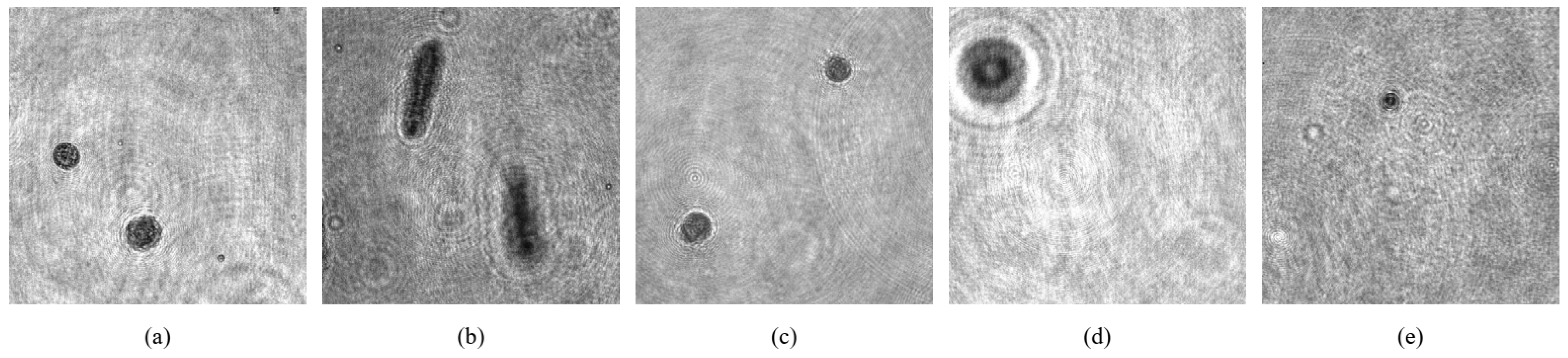 Chemosensors 10 00217 g003