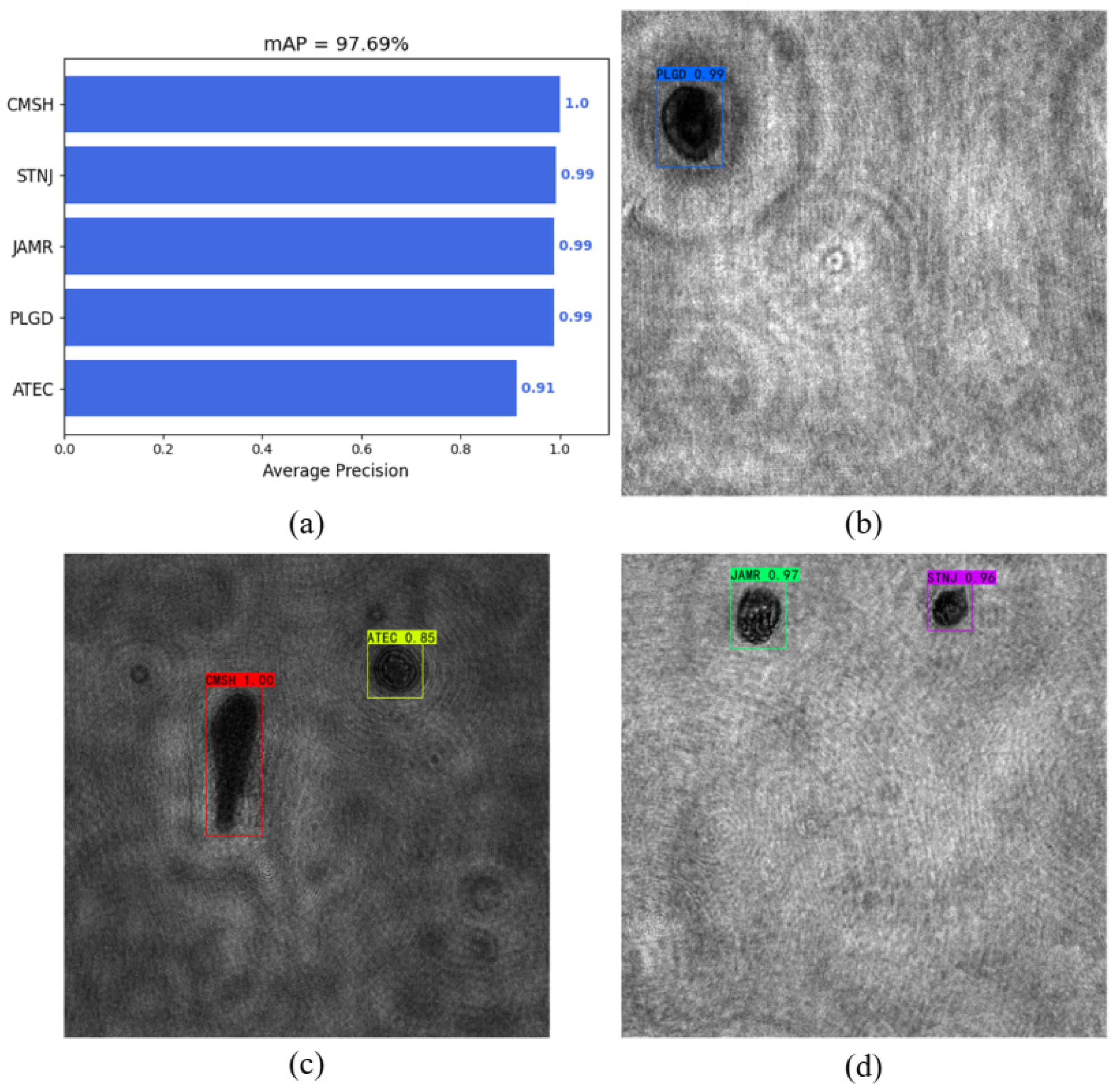 Chemosensors 10 00217 g008