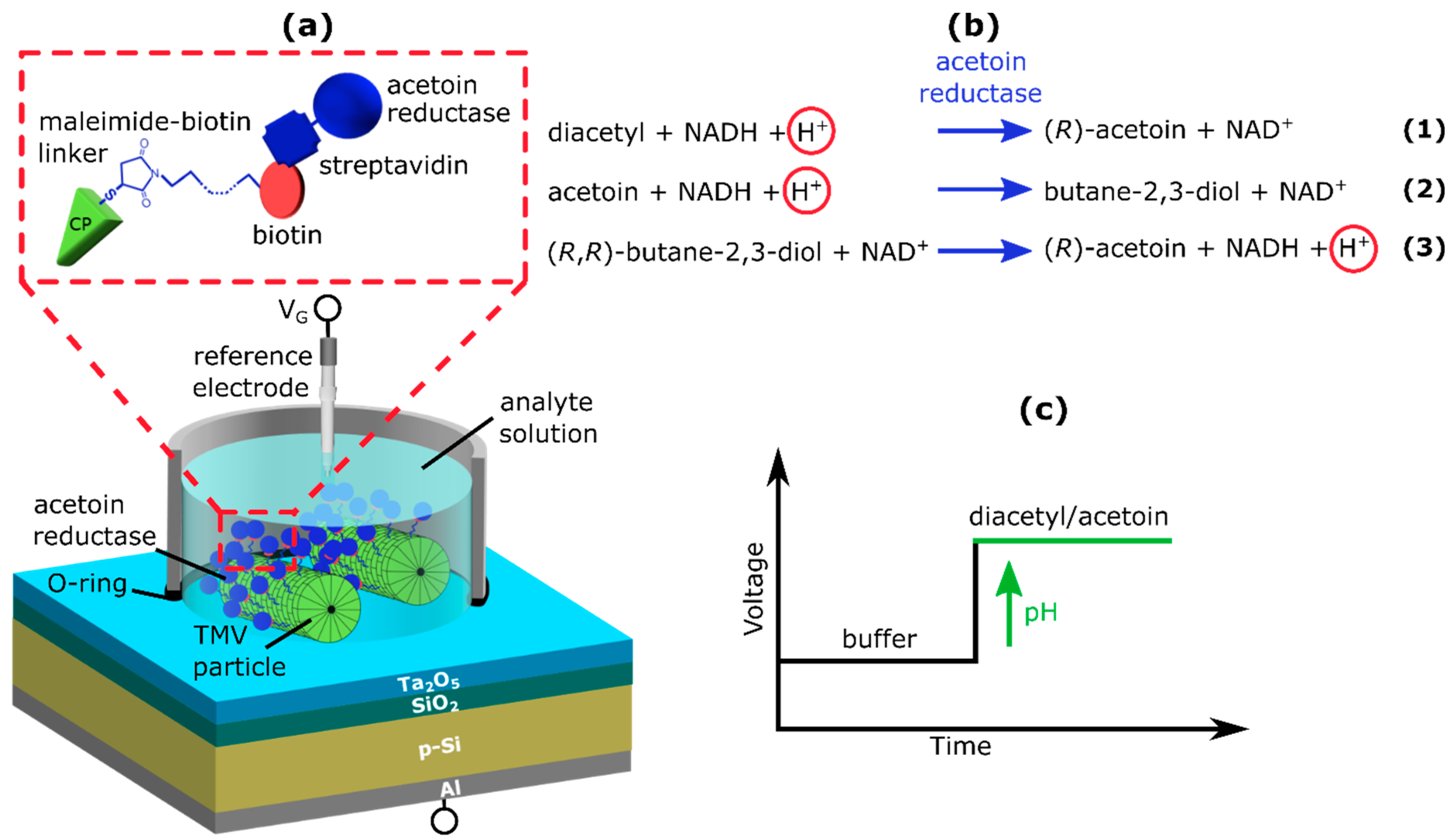 Chemosensors 10 00218 g001 550