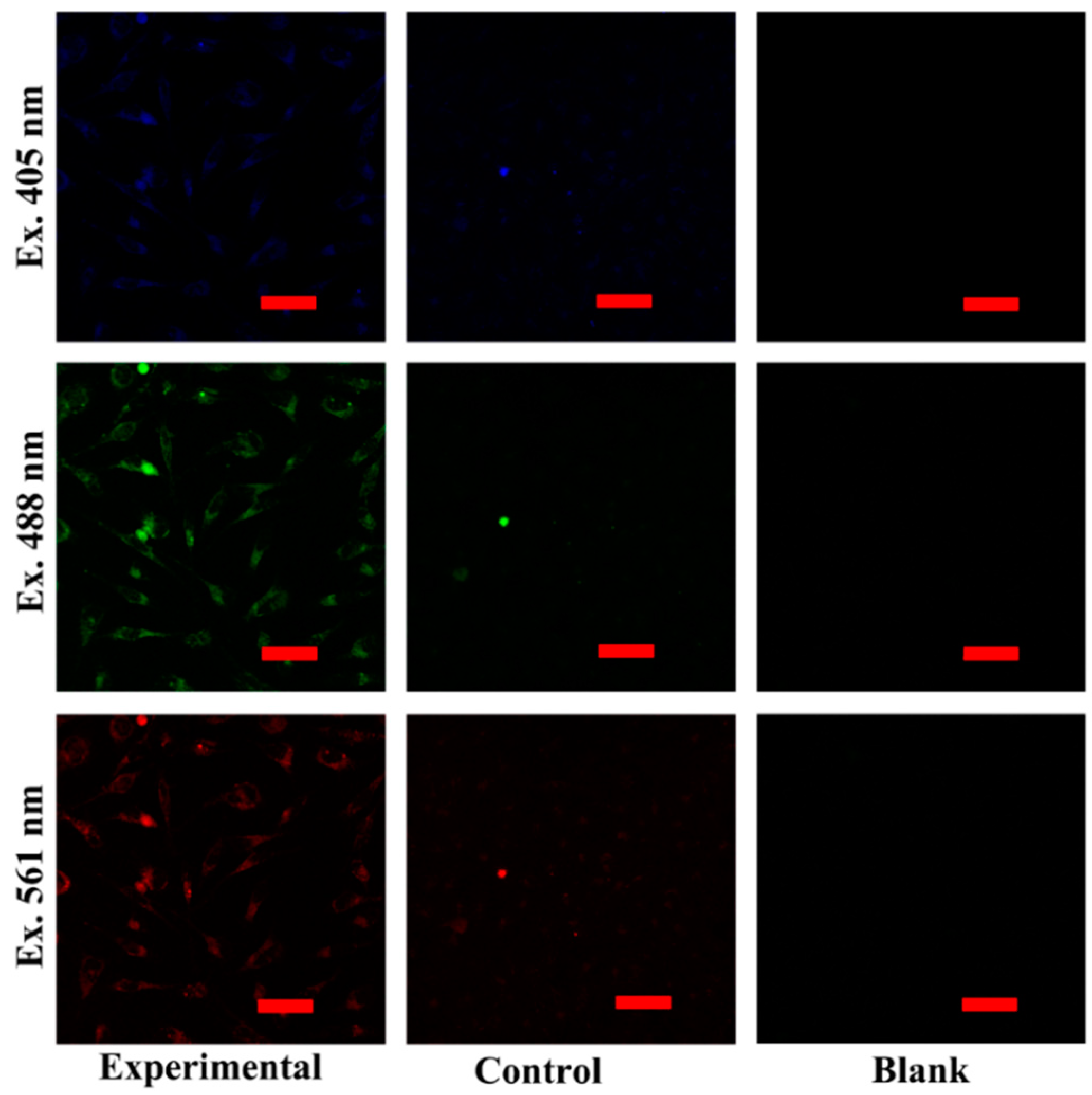 Chemosensors 10 00219 g004 550