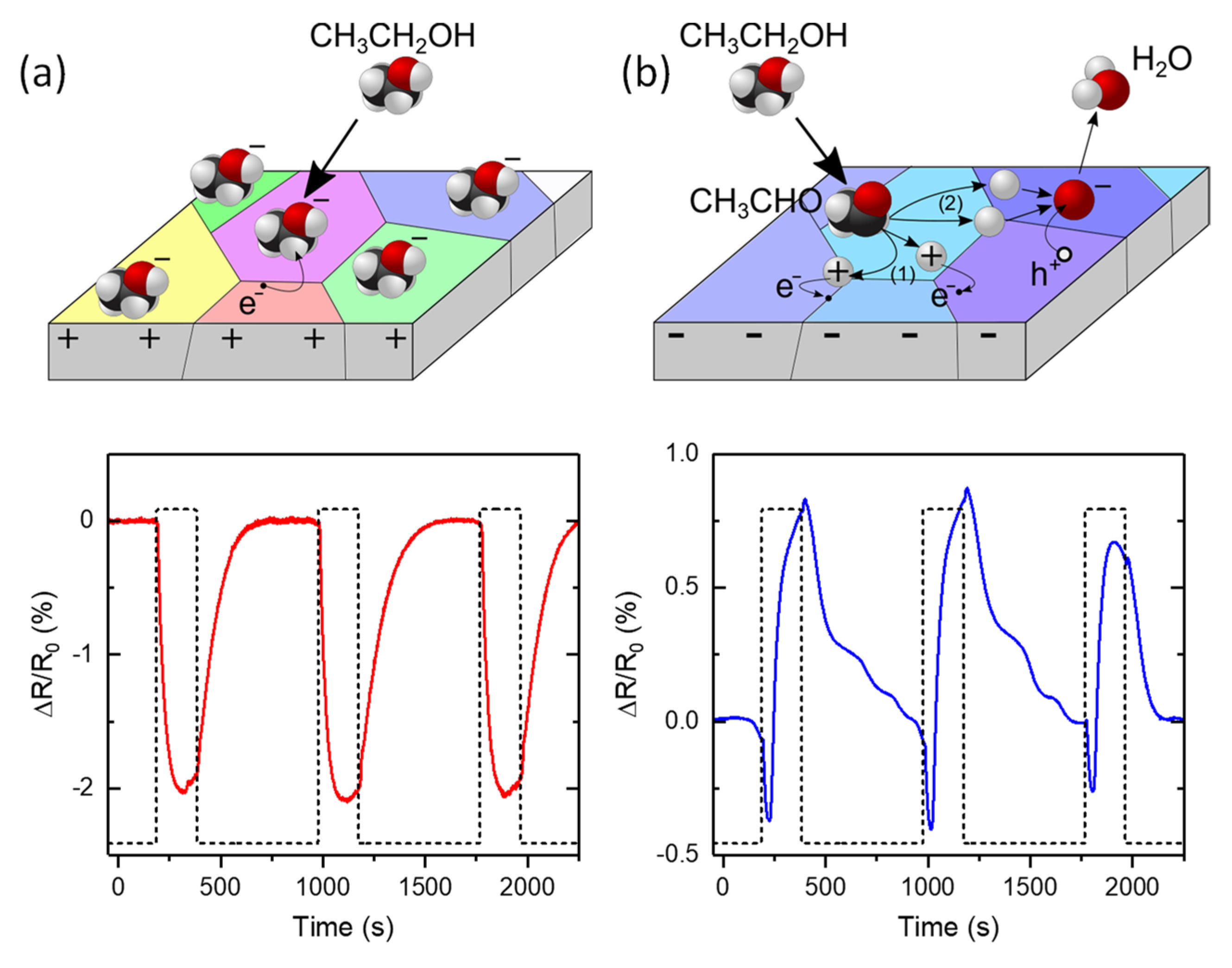 Chemosensors 10 00227 g006