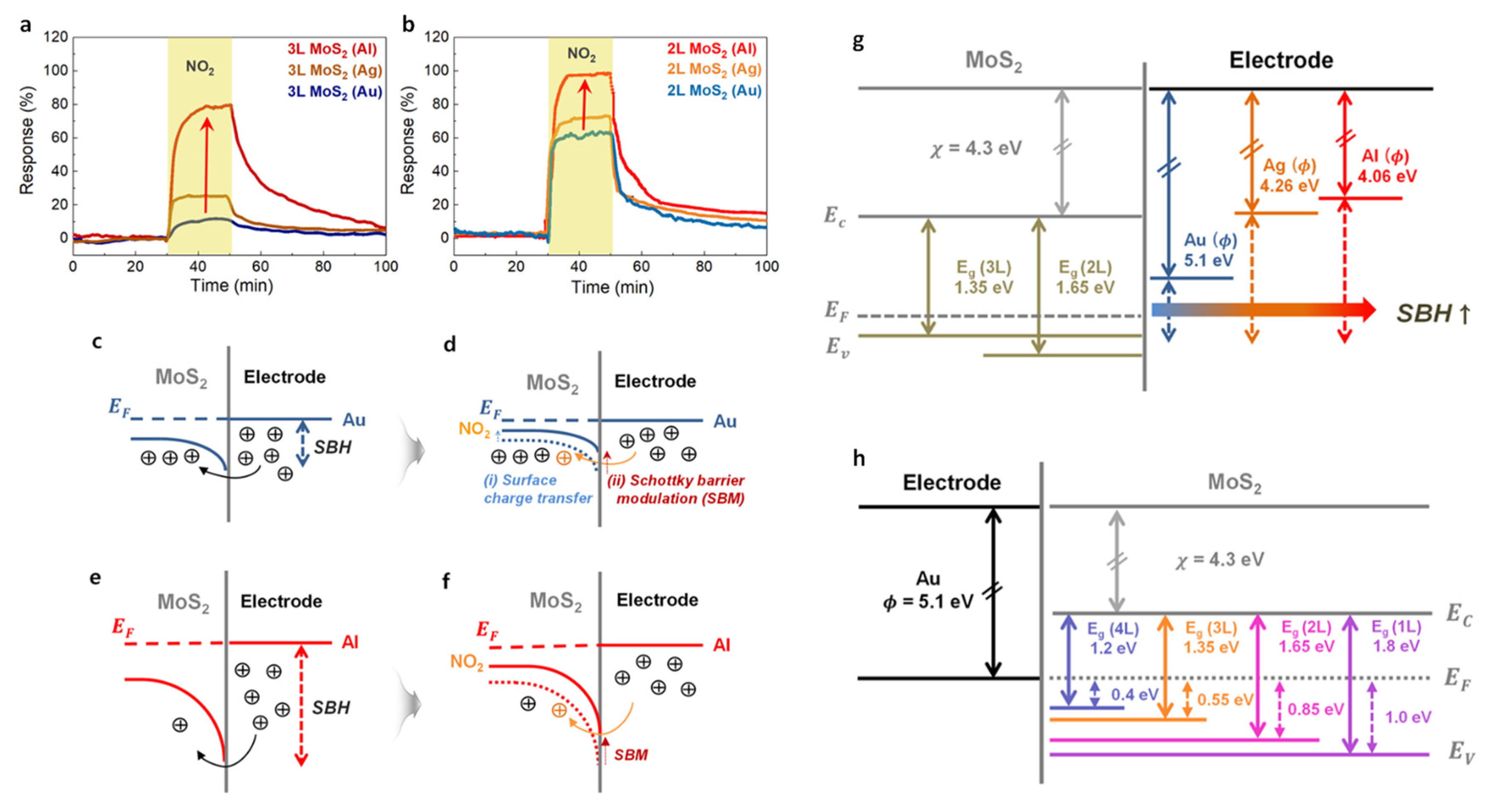Chemosensors 10 00227 g010