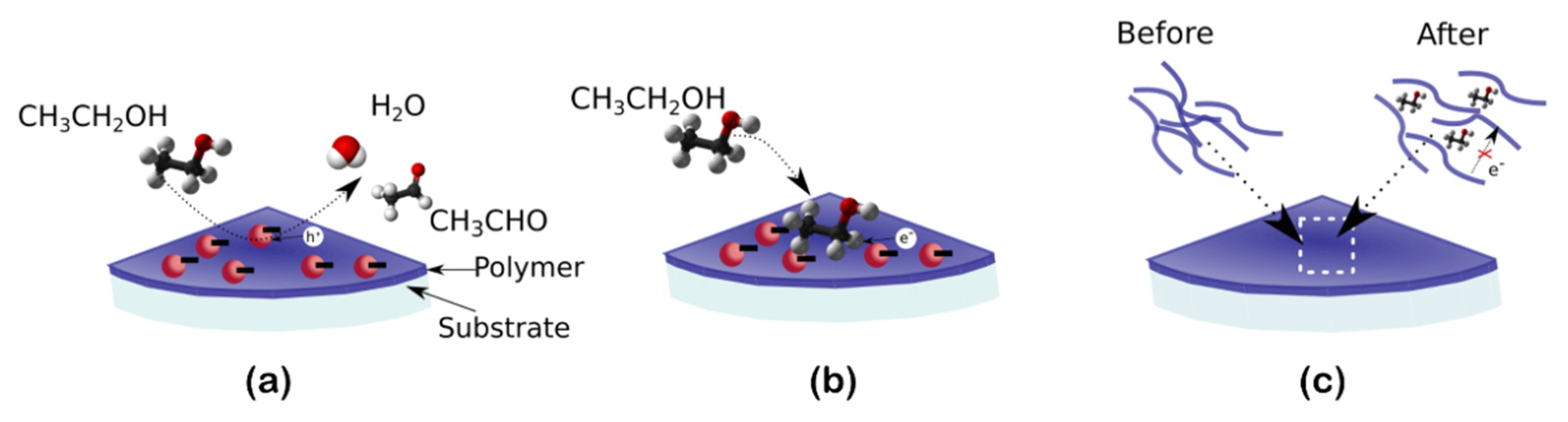 Chemosensors 10 00227 g013