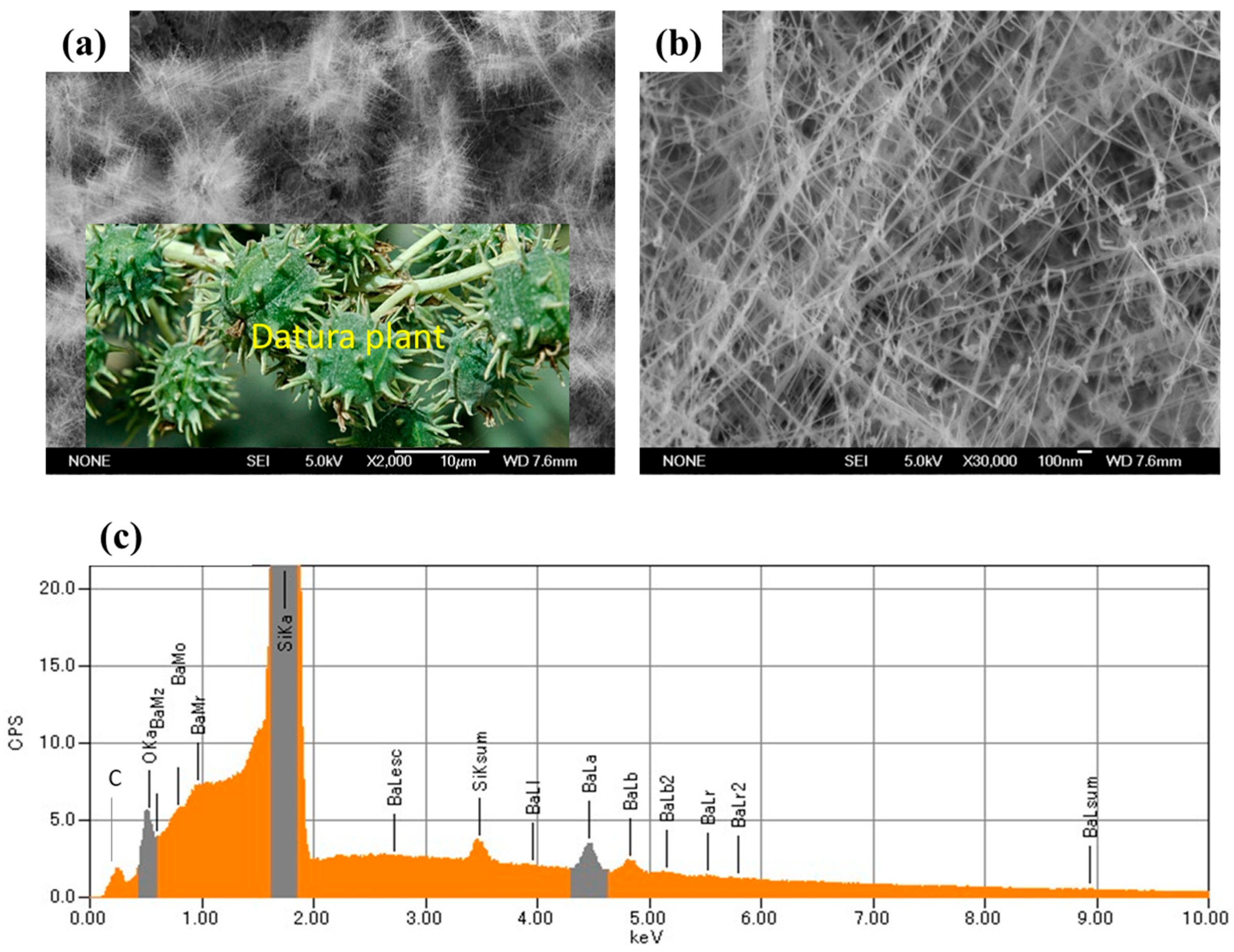 Chemosensors 10 00230 g003