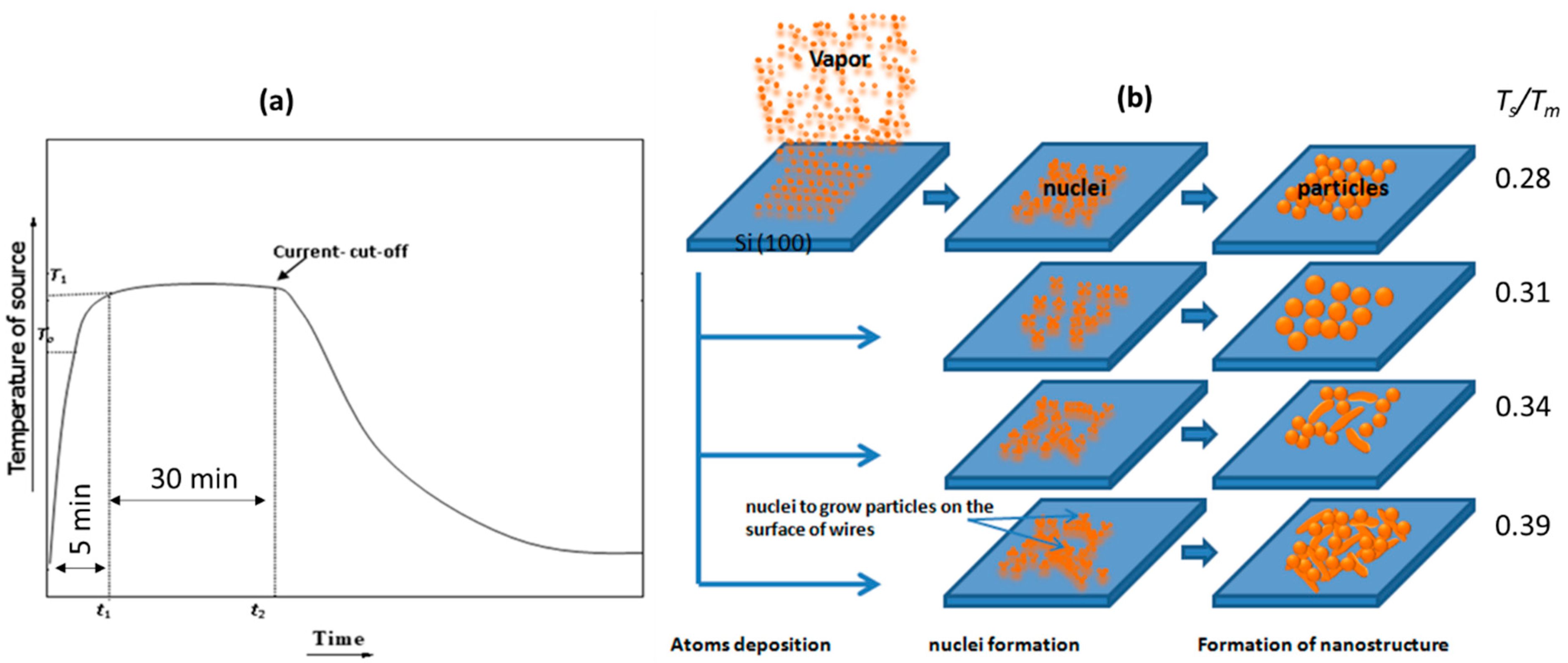 Chemosensors 10 00230 g012
