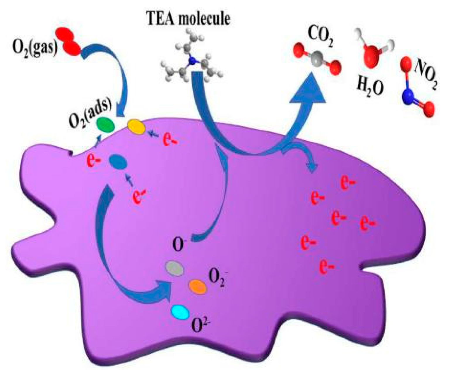 Chemosensors 10 00231 g002 550