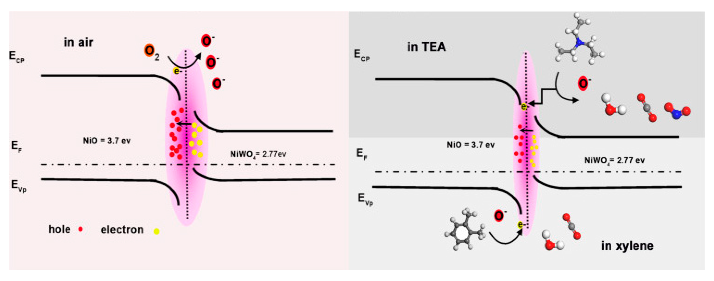 Chemosensors 10 00231 g013 550