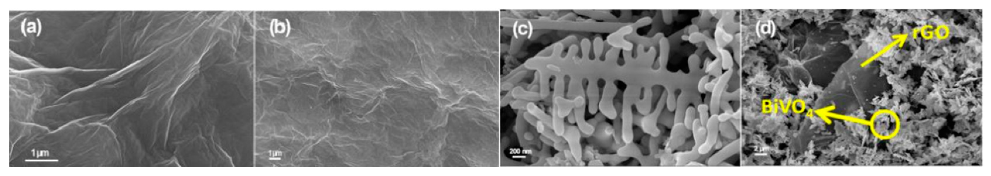 Chemosensors 10 00231 g017 550
