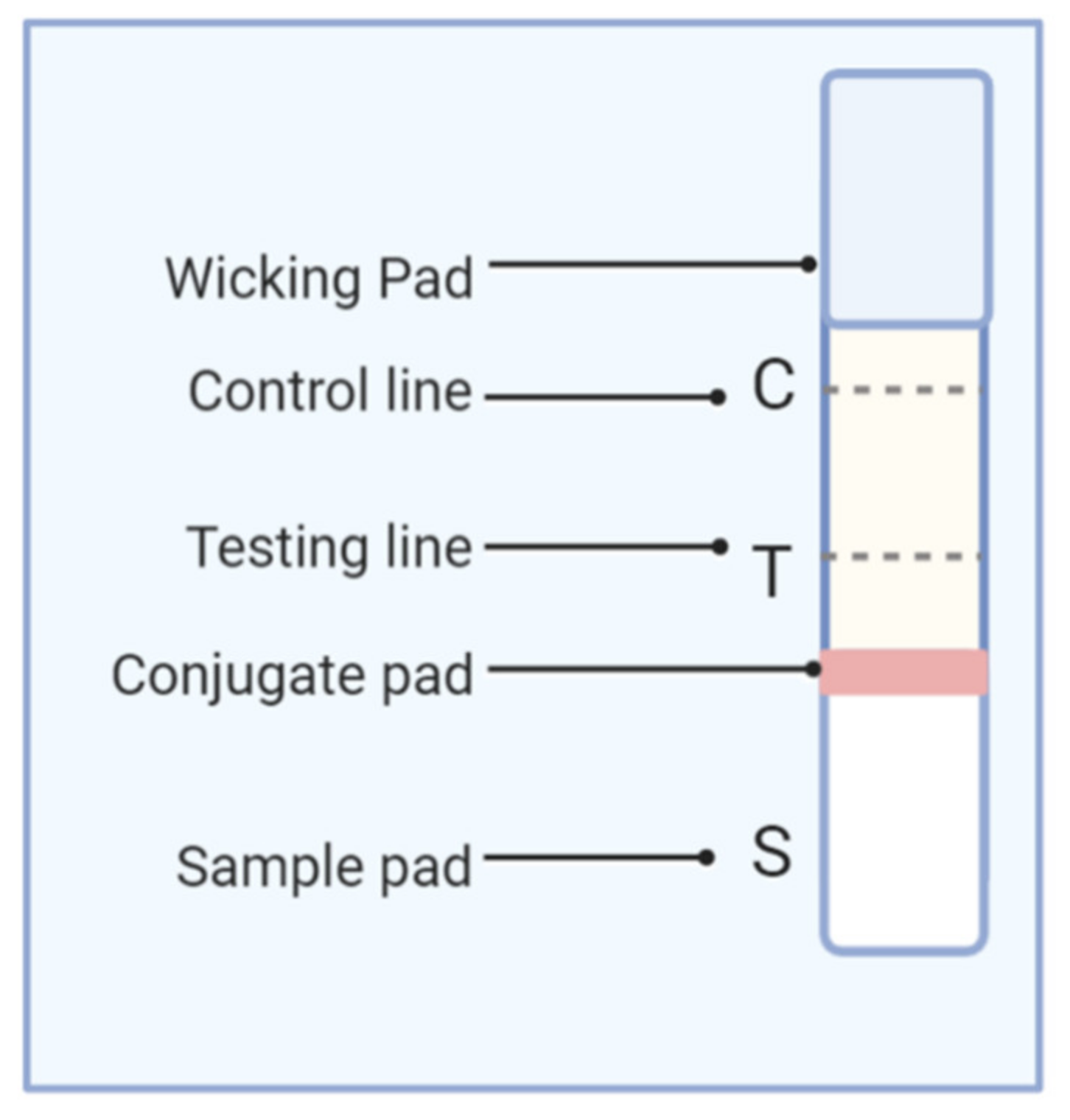 Chemosensors 10 00234 g004
