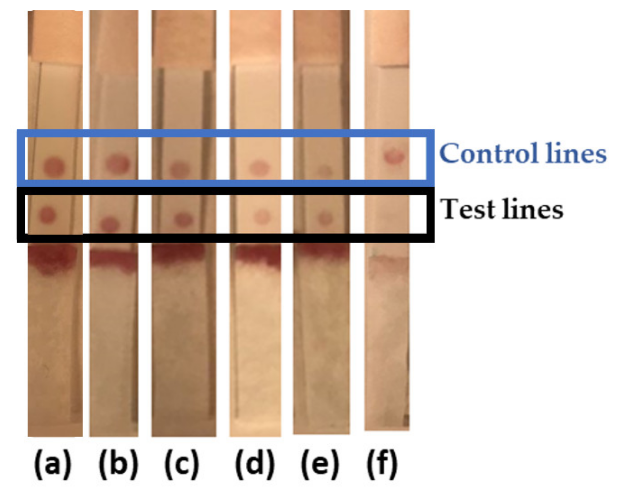 Chemosensors 10 00234 g006