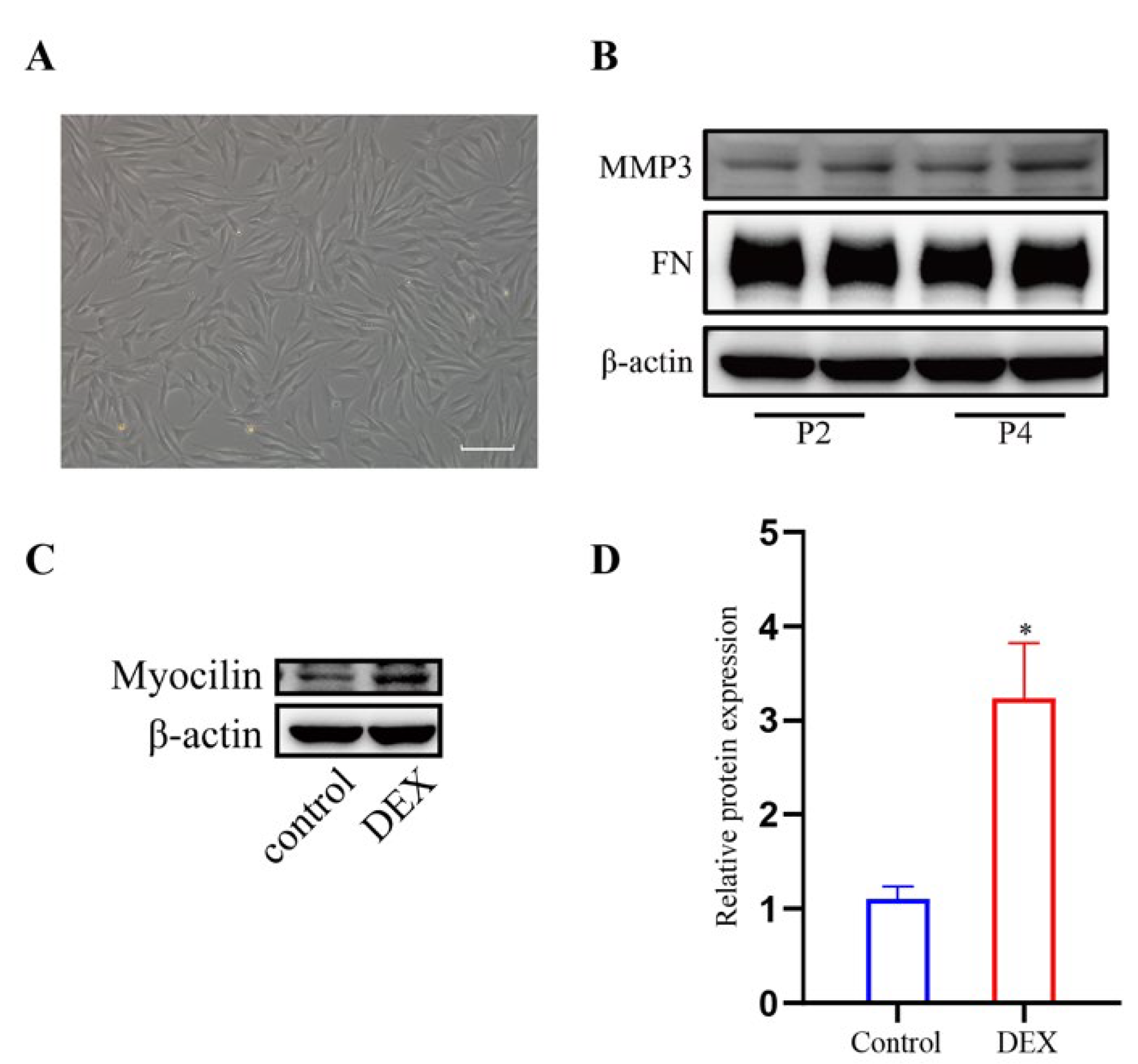 Chemosensors 10 00235 g001