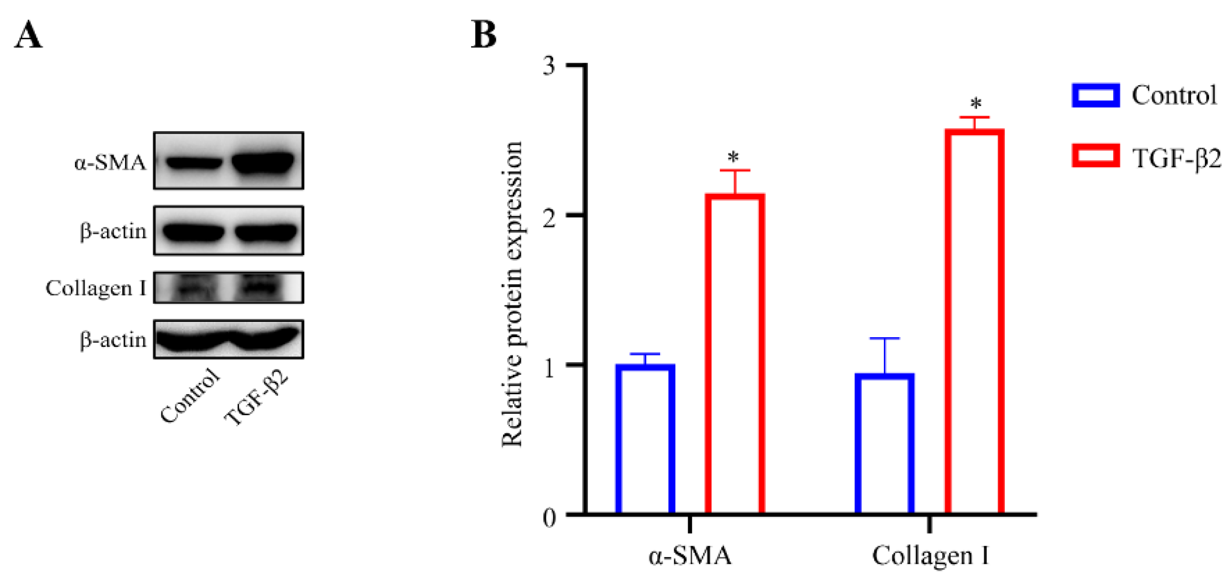 Chemosensors 10 00235 g003