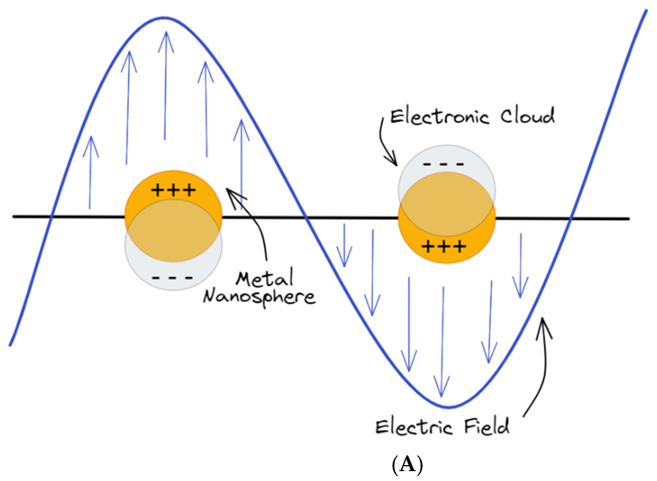 Chemosensors 10 00237 g002a