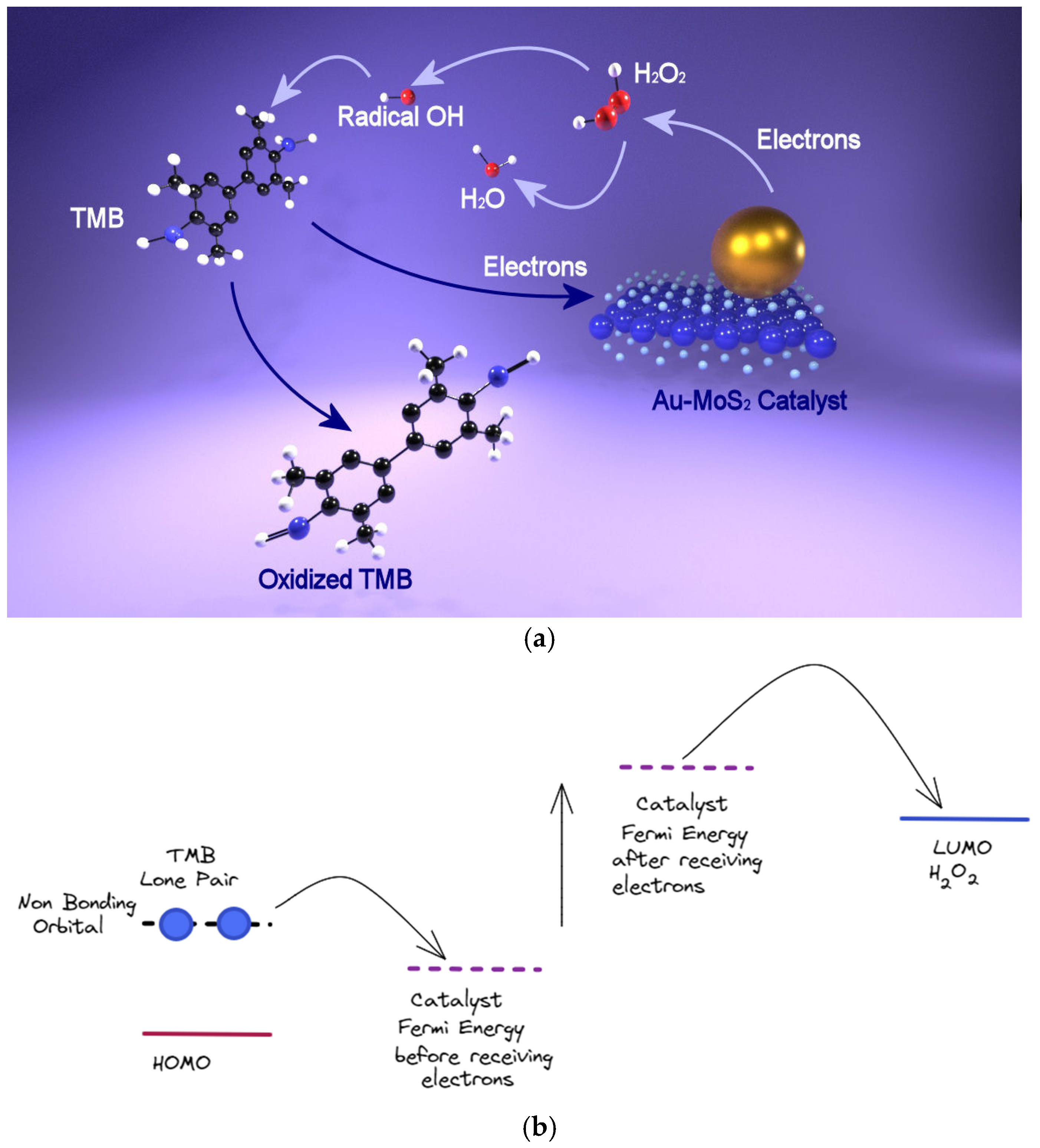 Chemosensors 10 00237 g006